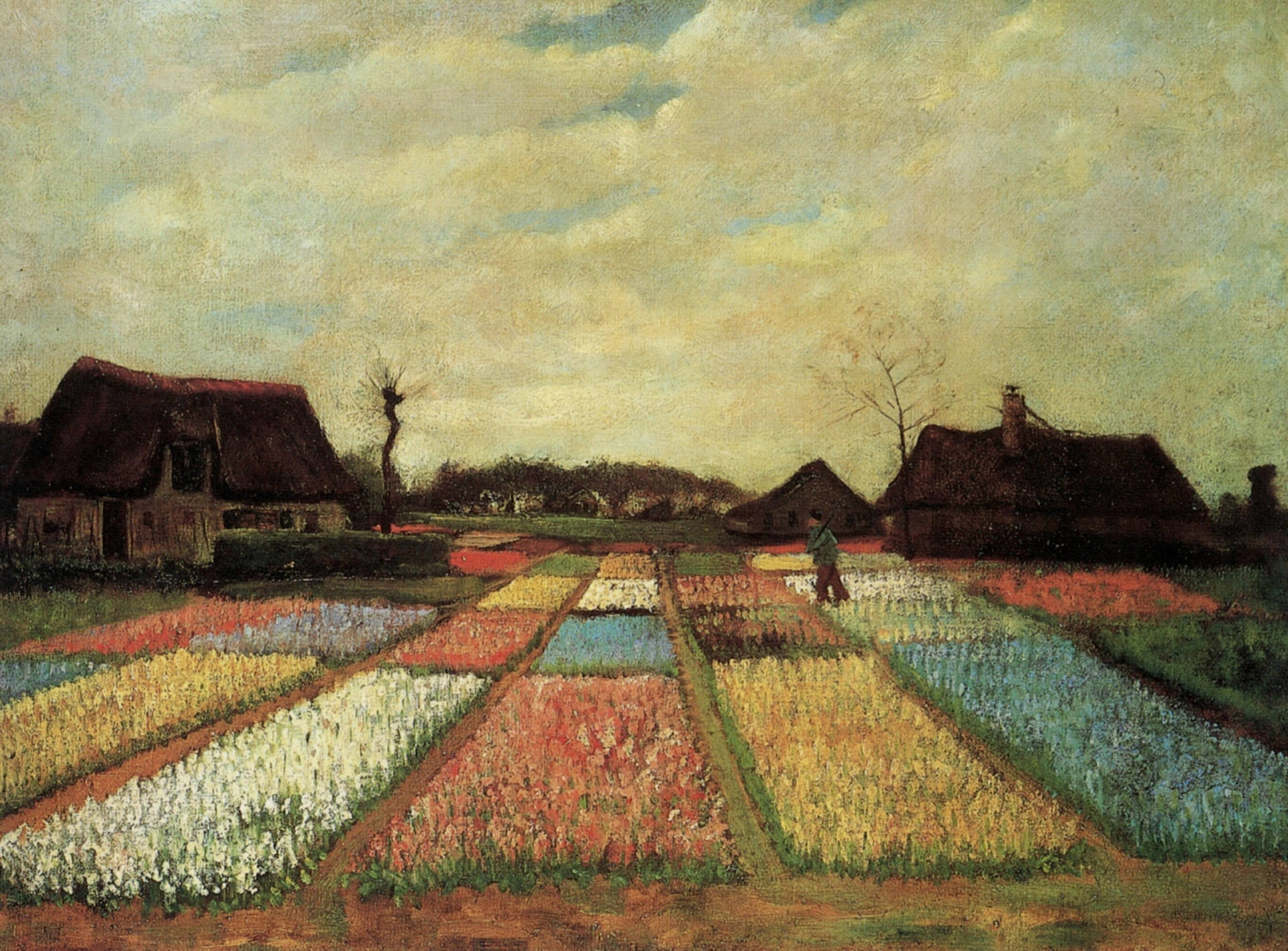 Van Gogh Bulb Fields Background