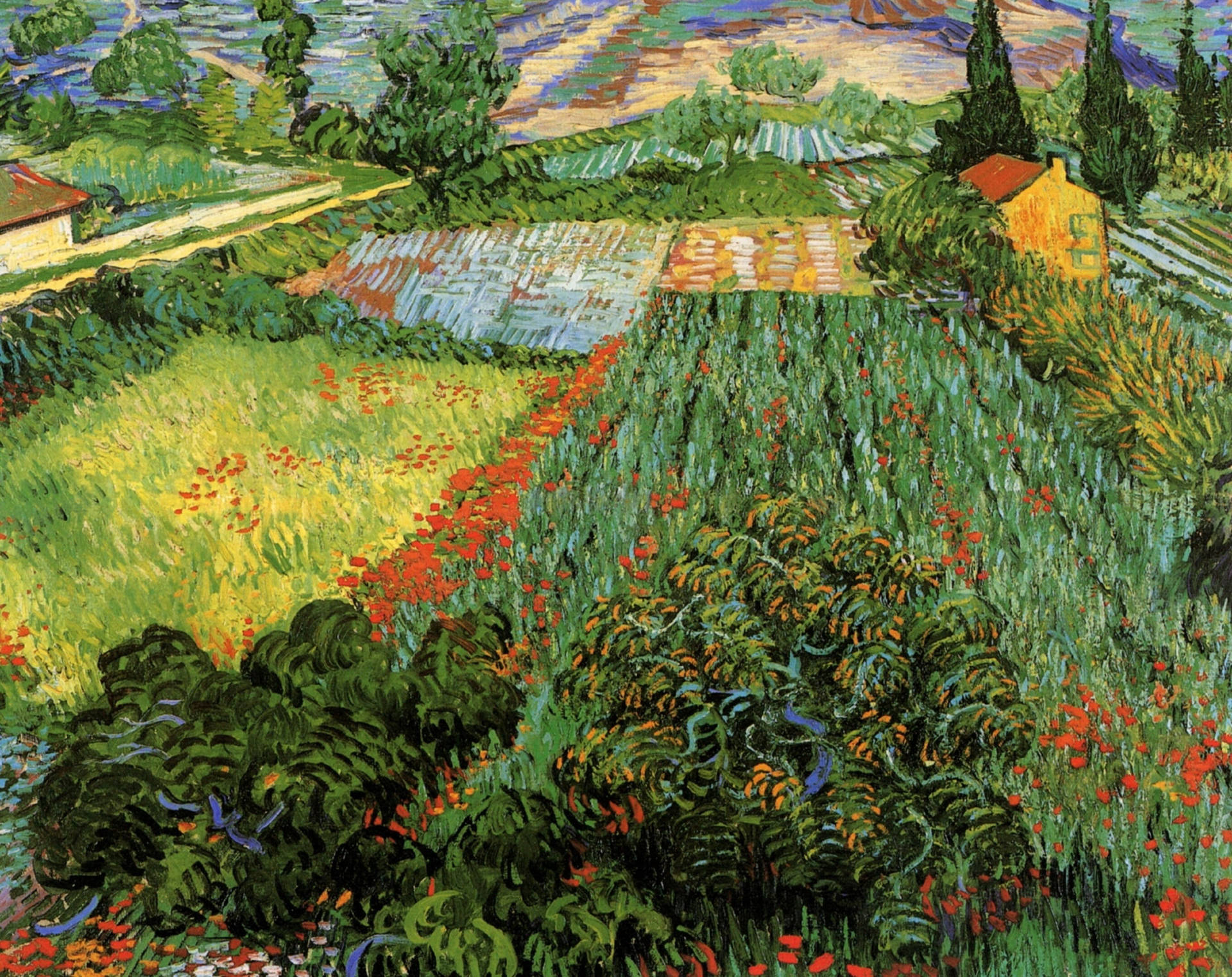 Van Gogh Field With Poppies 1889 Background
