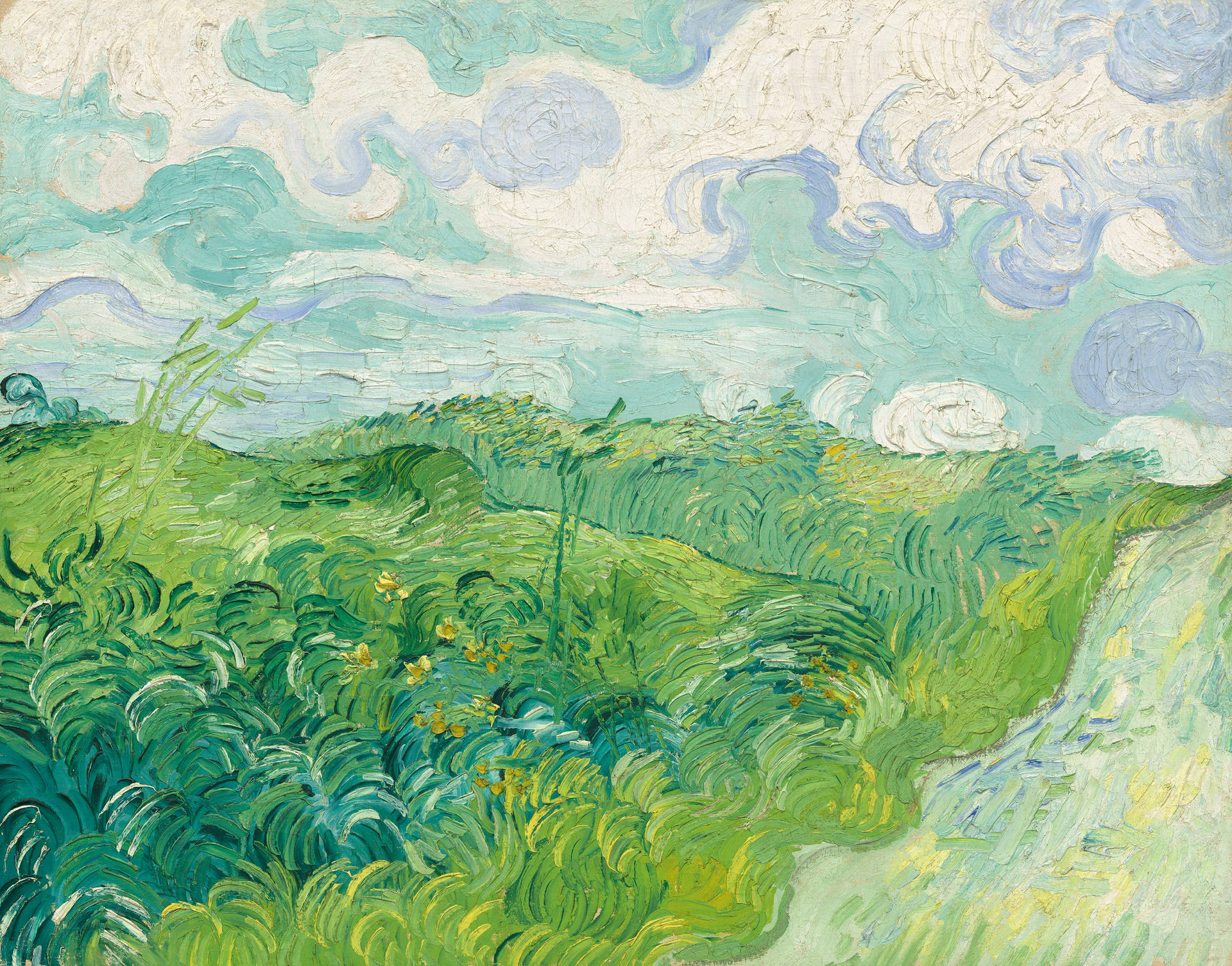 Van Gogh Green Wheat Fields Auvers Background