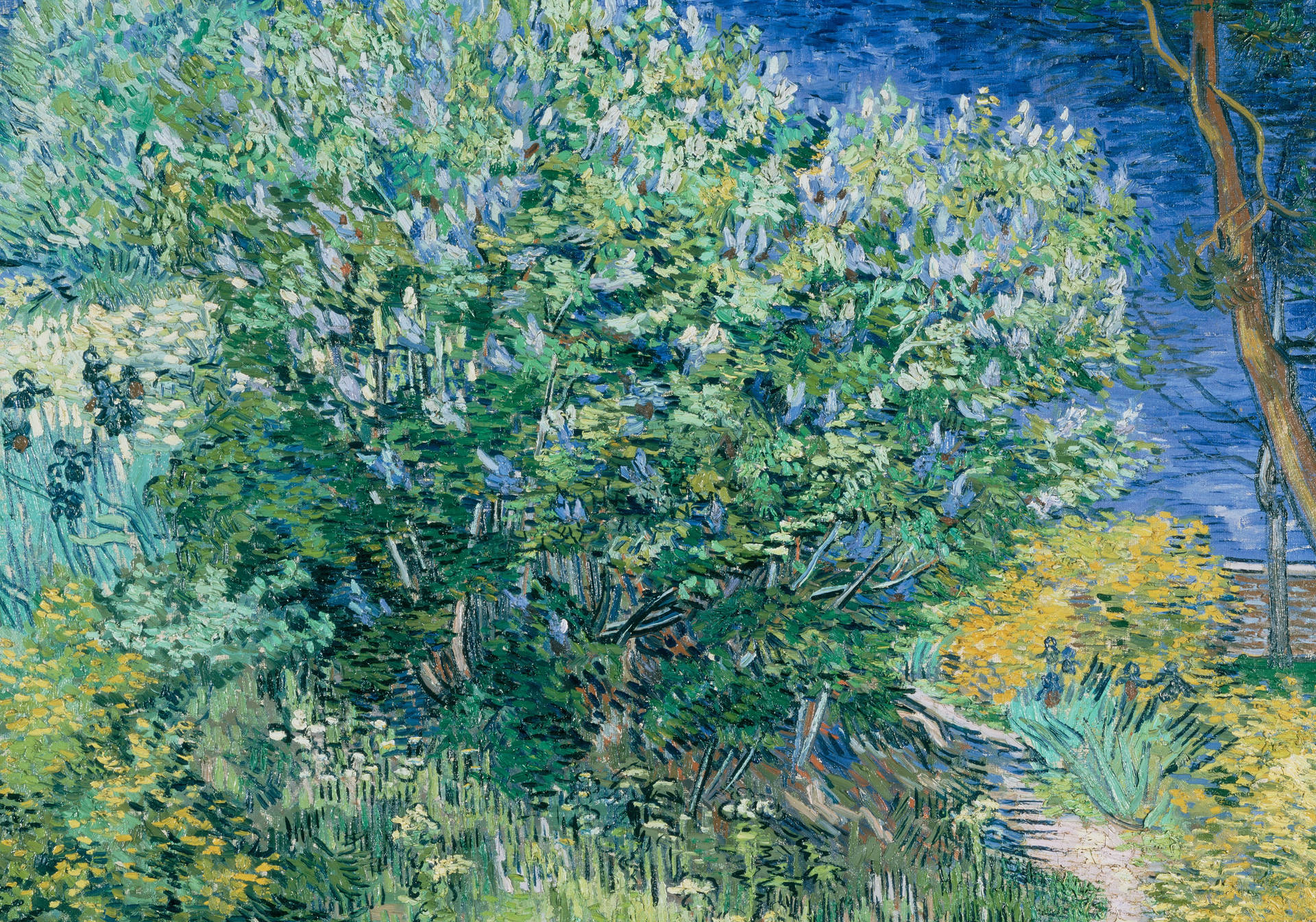 Van Gogh Lilac Bush Background