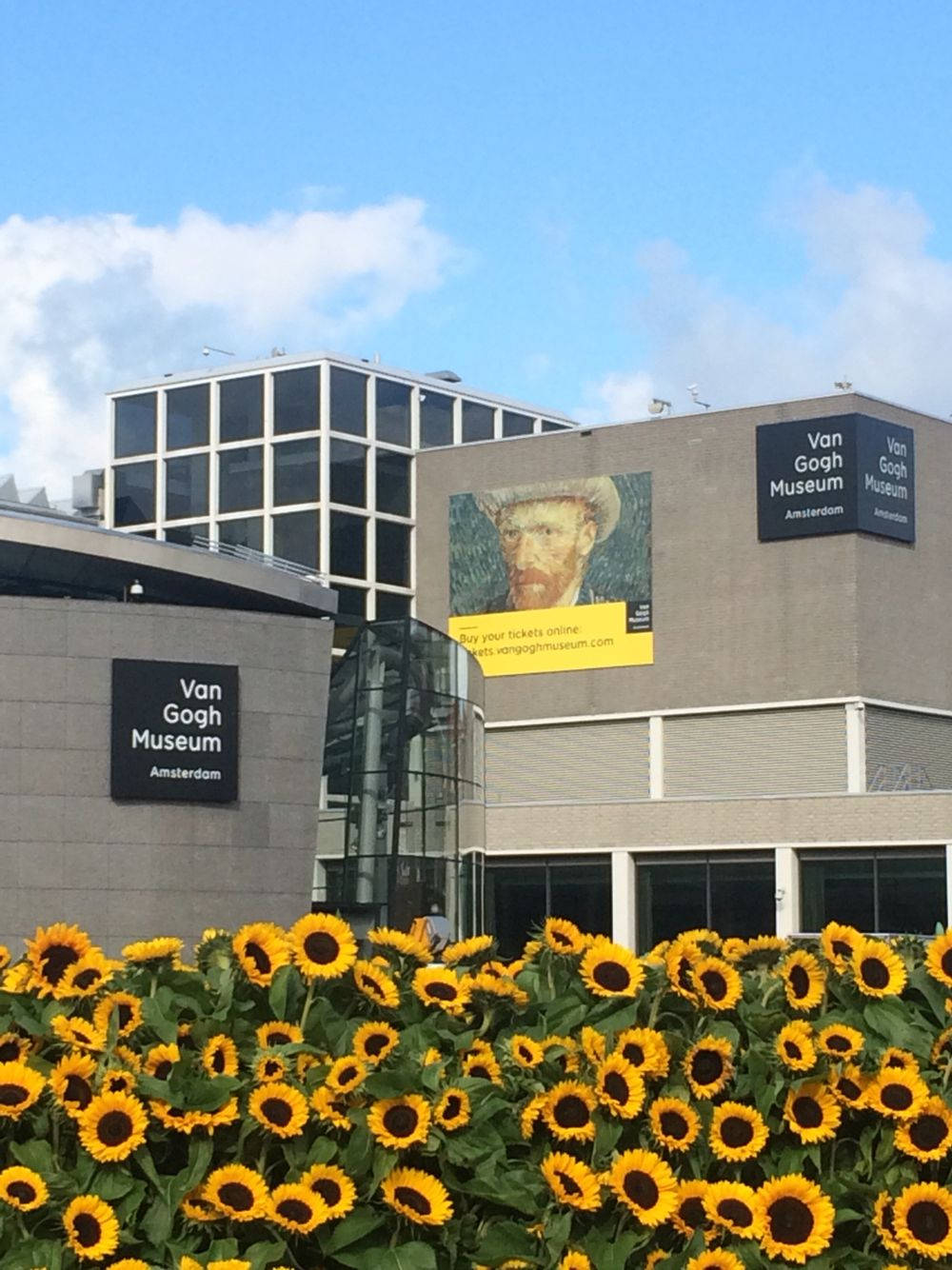 Van Gogh Museum Sunflower Garden Background