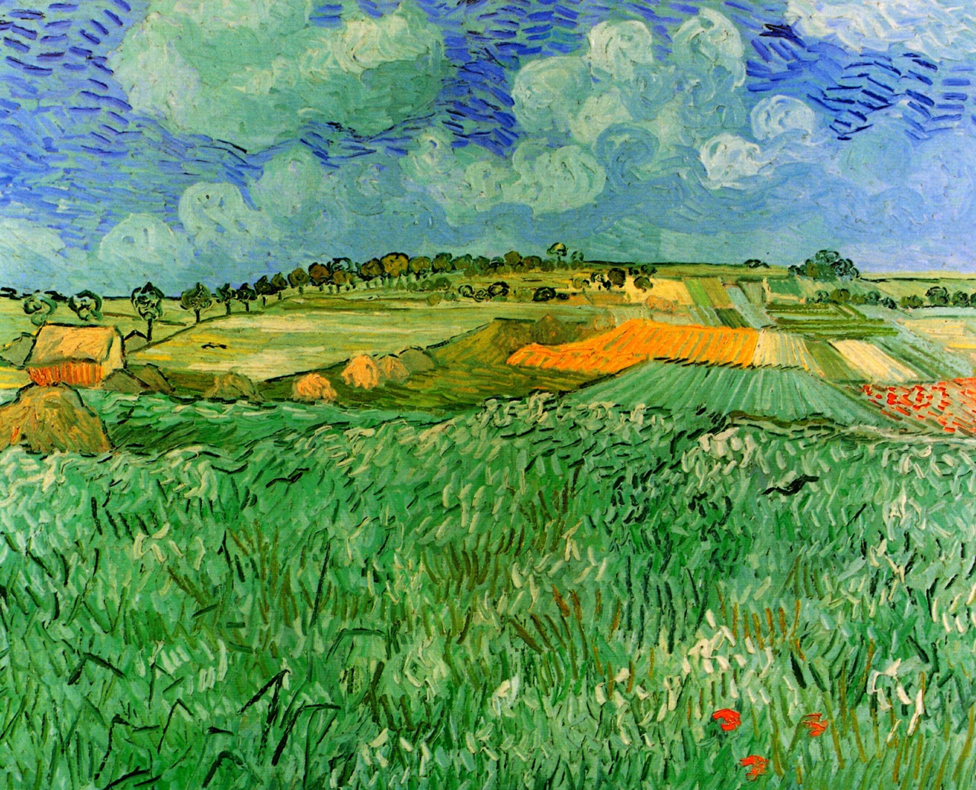 Van Gogh Plain Near Auvers Background
