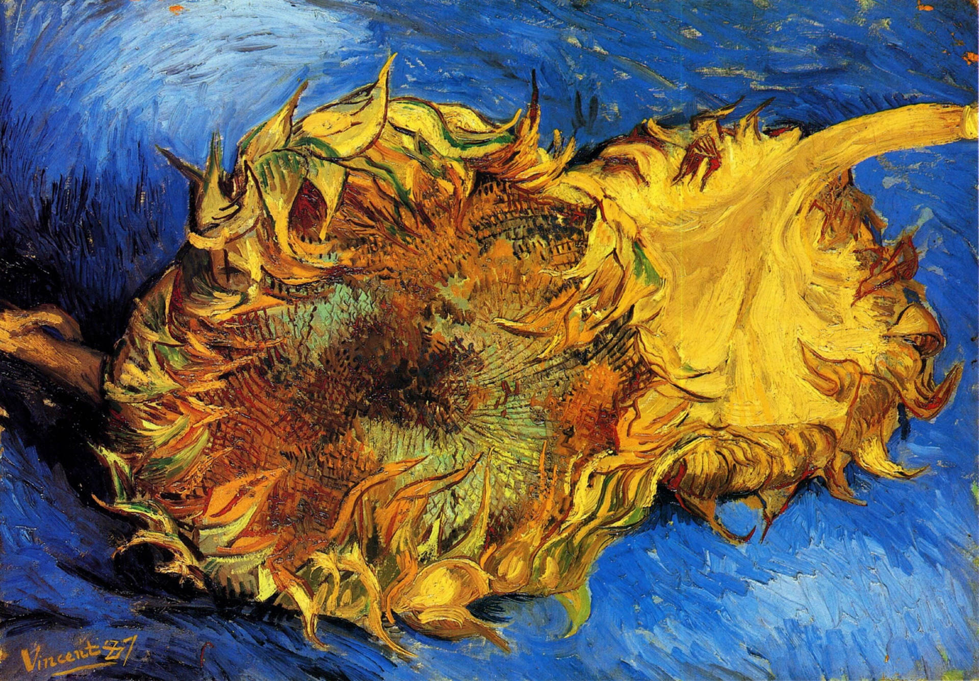 Van Gogh Two Cut Sunflowers Background