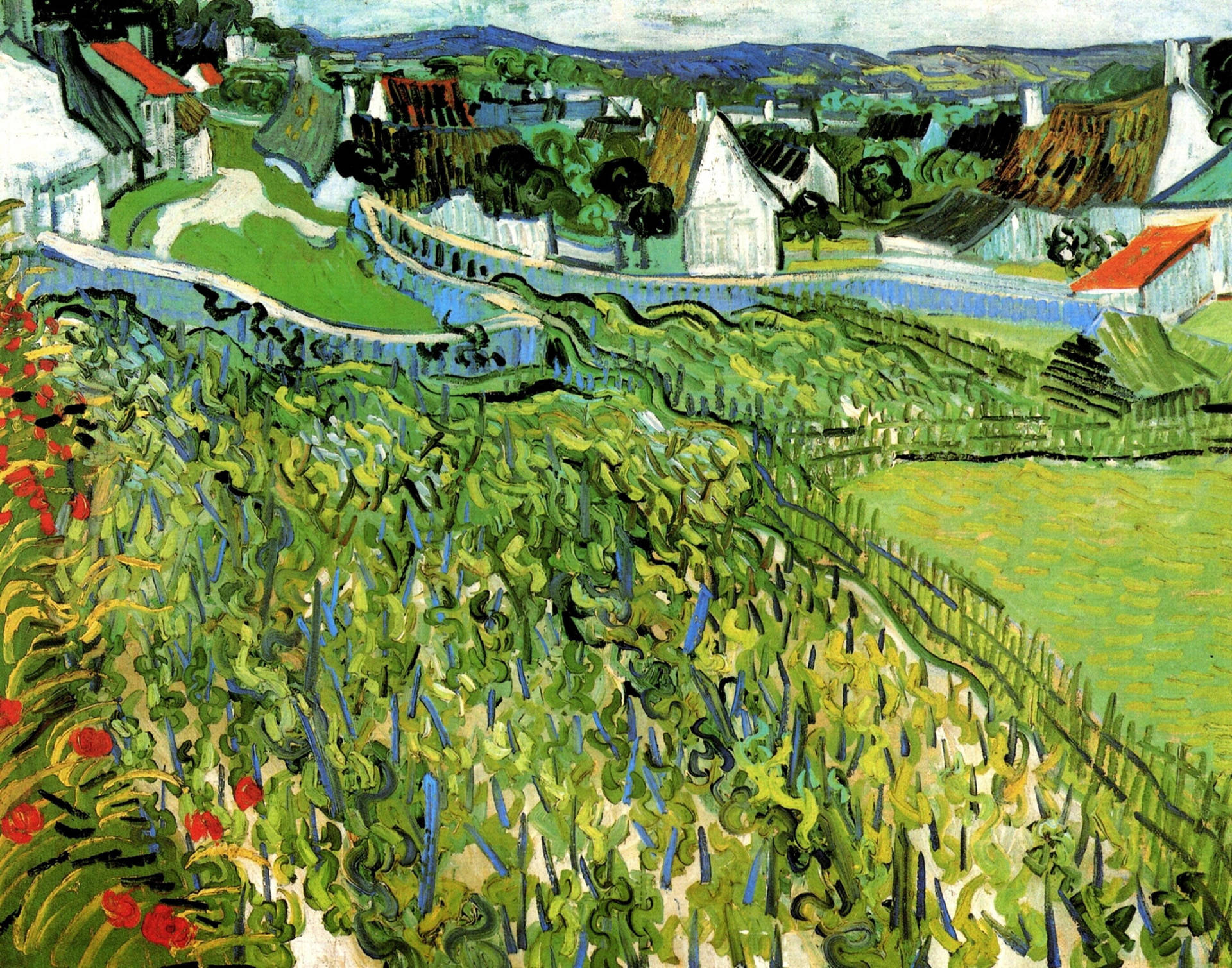 Van Gogh Vineyards At Auvers Background