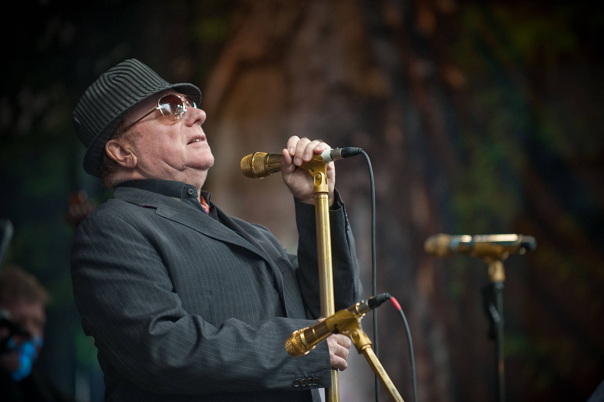 Van Morrison Singer-songwriter Musician Background