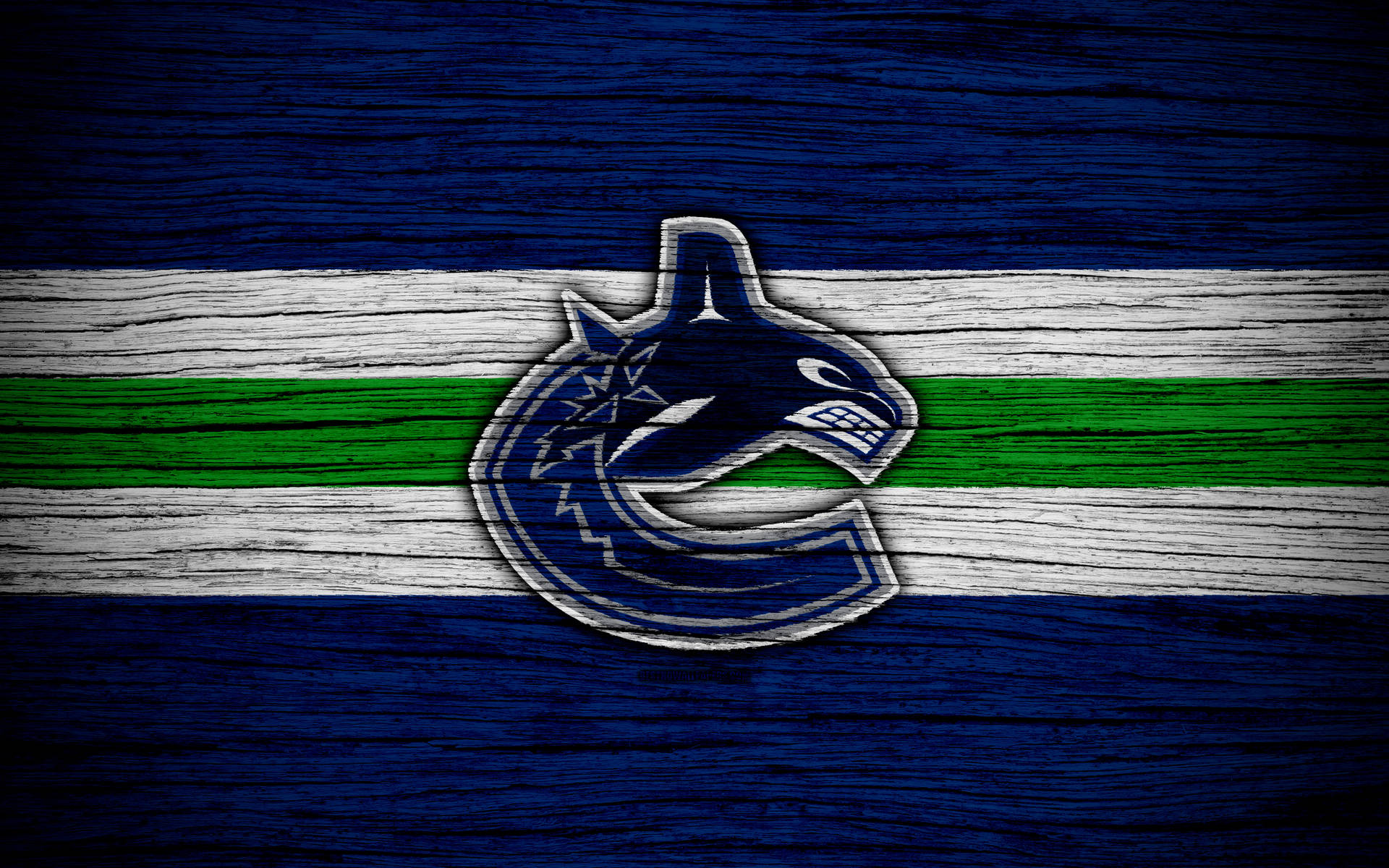 Vancouver Canucks On Painted Wood
