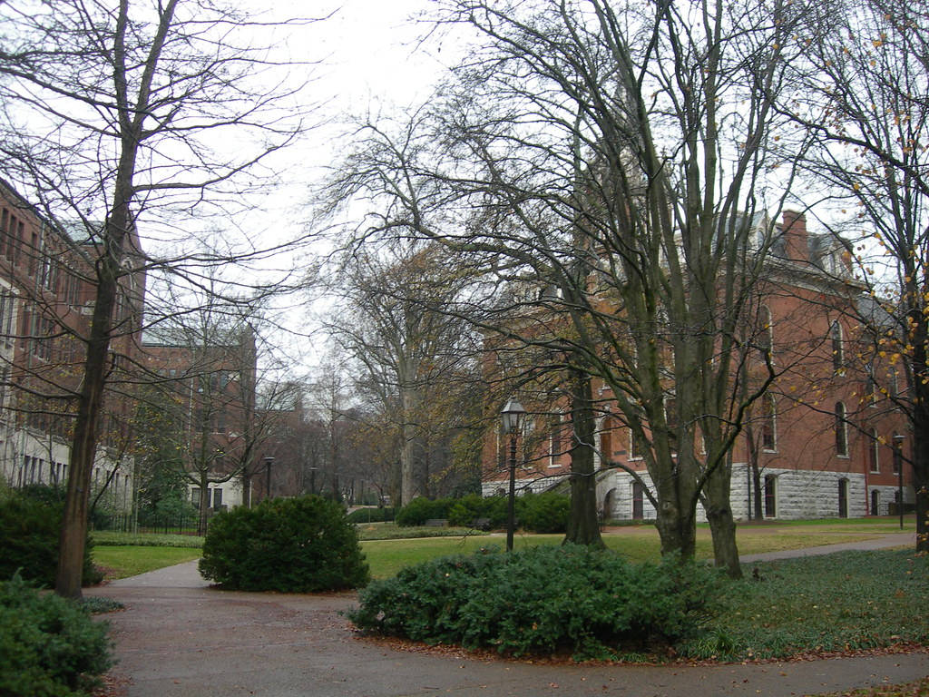 Vanderbilt University Bare Trees