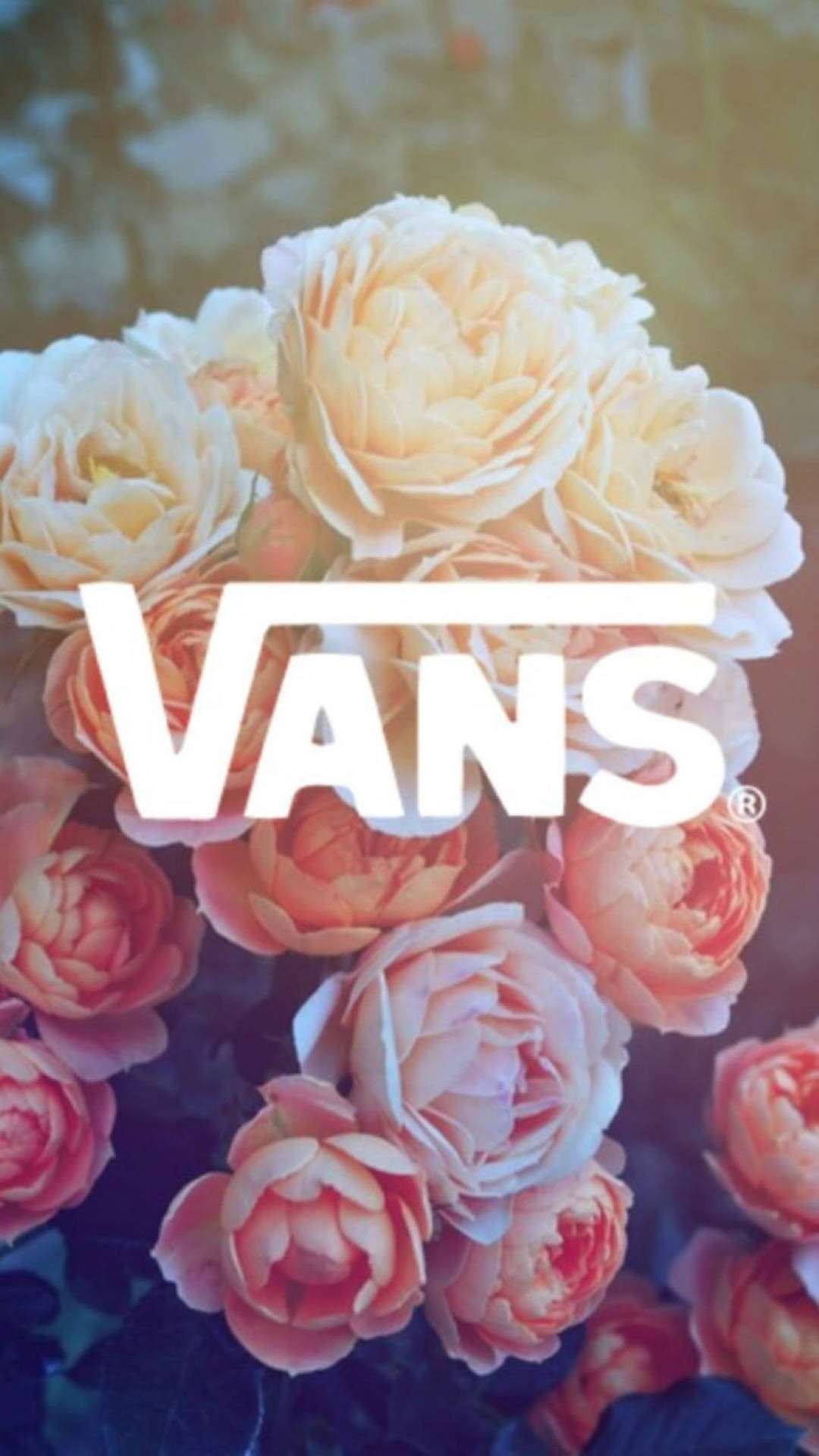 Vans Logo With Aesthetic Flowers