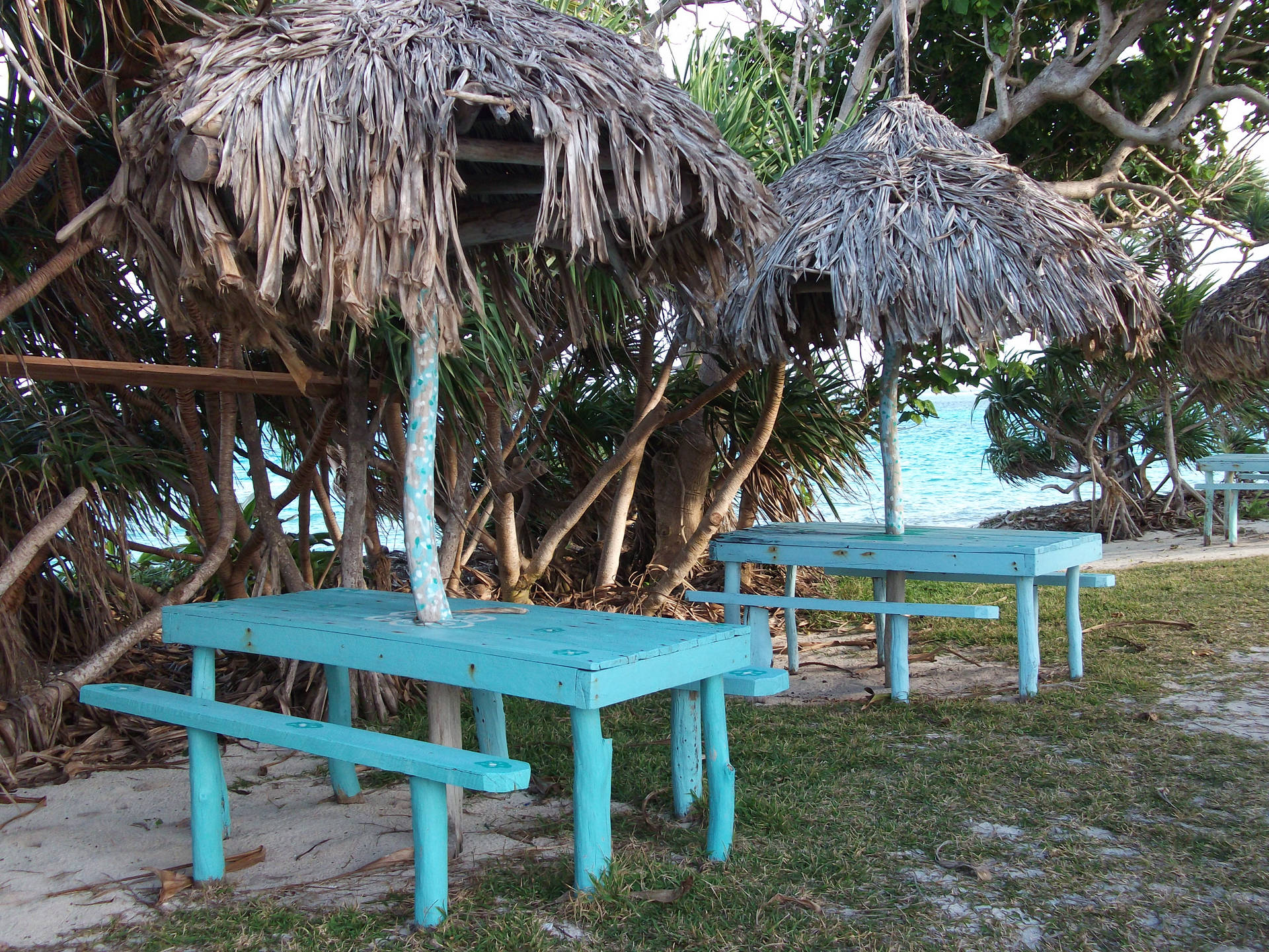 Vanuatu Beach Blue Bench Background