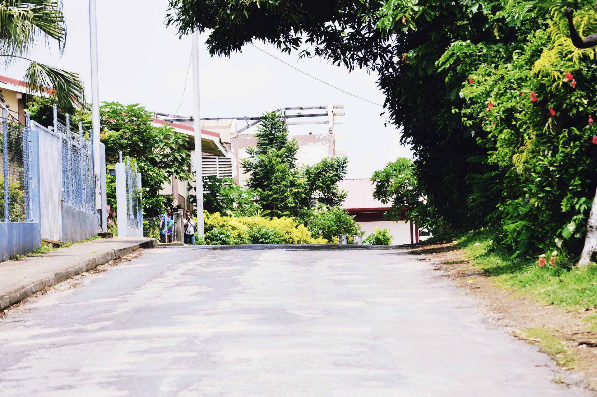Vanuatu Empty Street Background