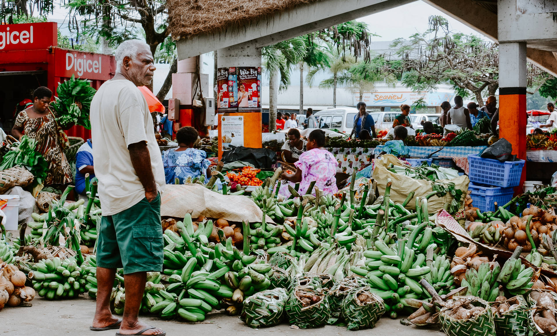 Vanuatu Fresh Bananas