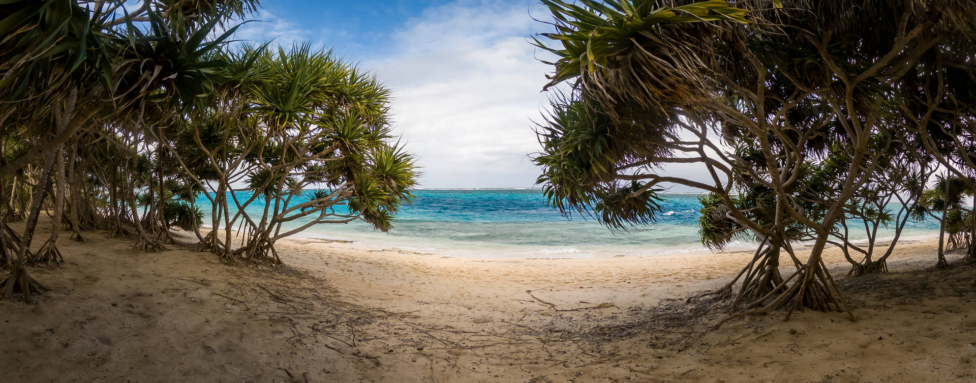 Vanuatu Mangrove Tides Background