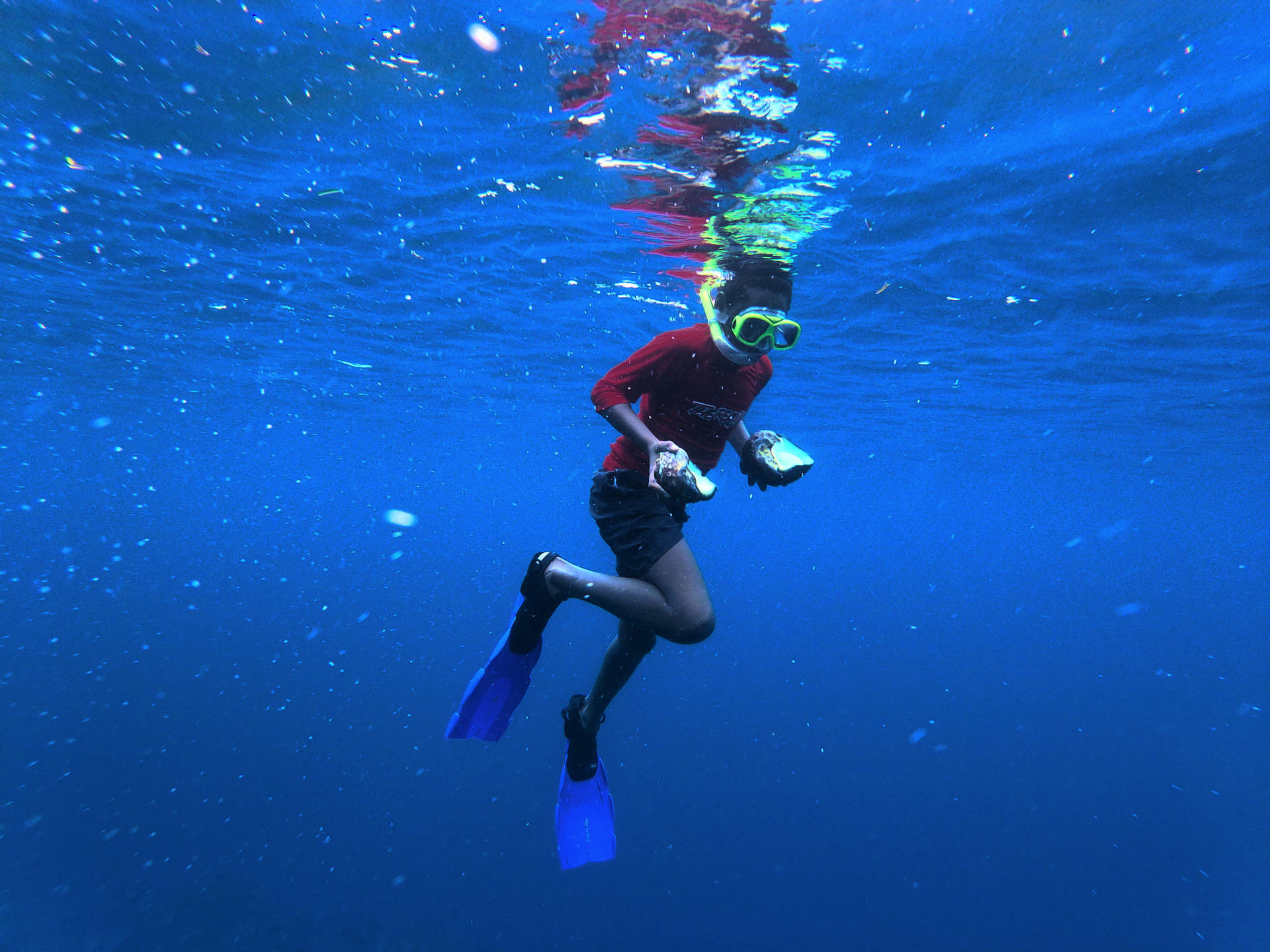 Vanuatu Ocean Diver