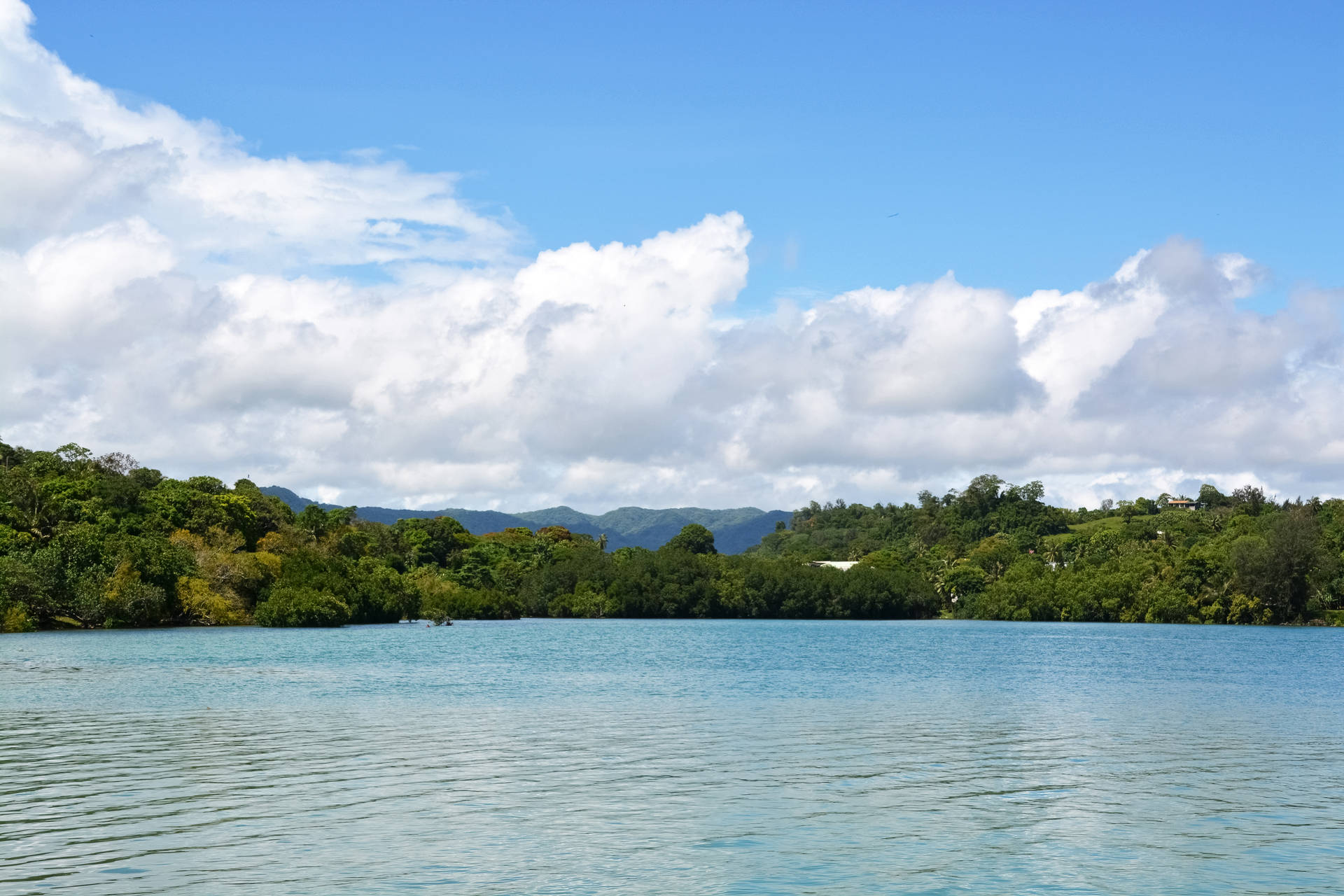 Vanuatu Ocean View Background