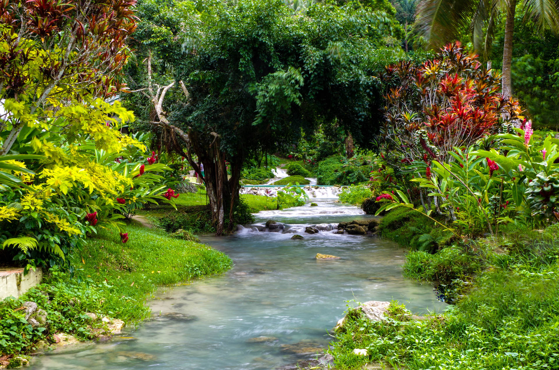 Vanuatu Stream Garden Background