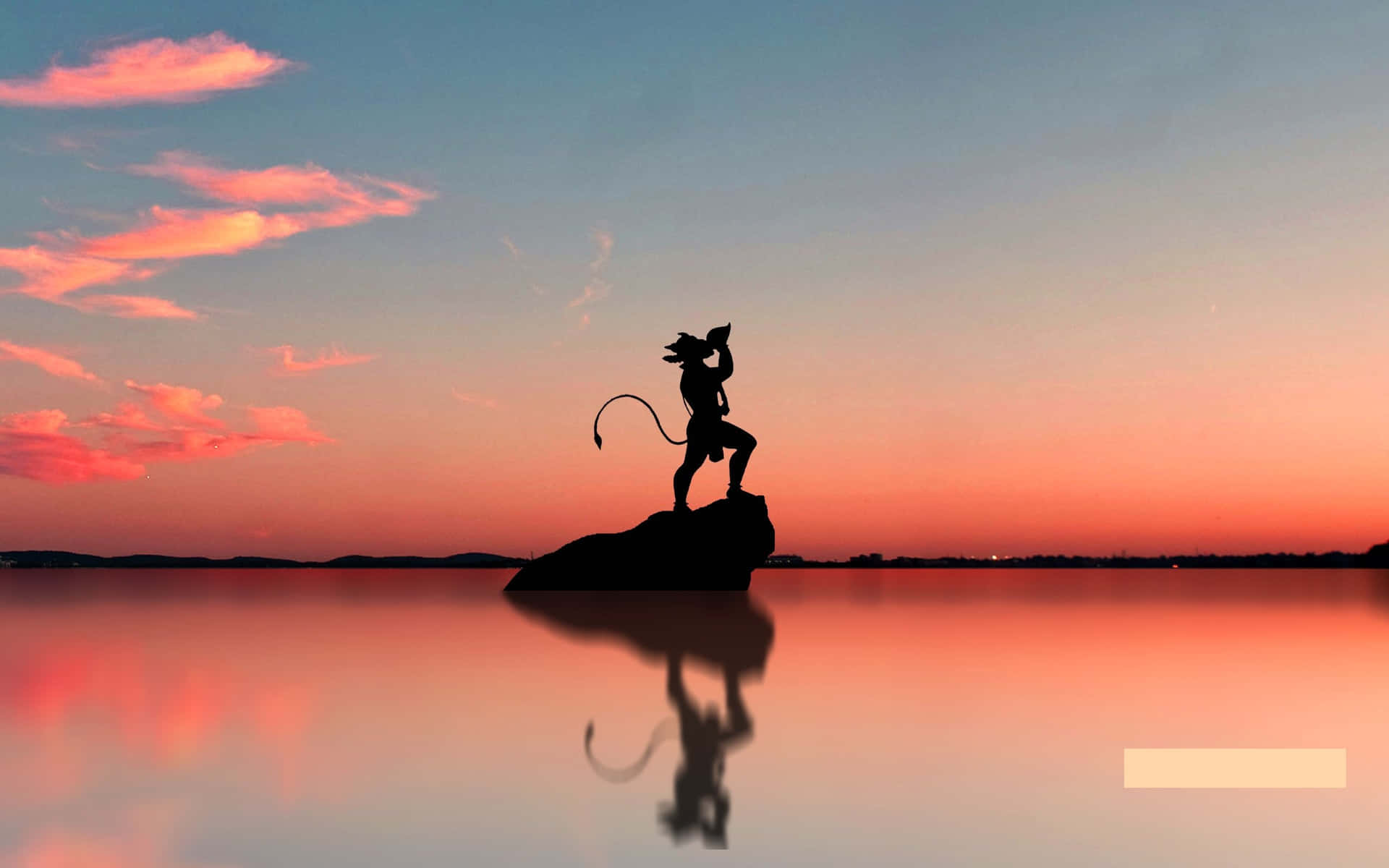 Vapid Silhouette On A Rock