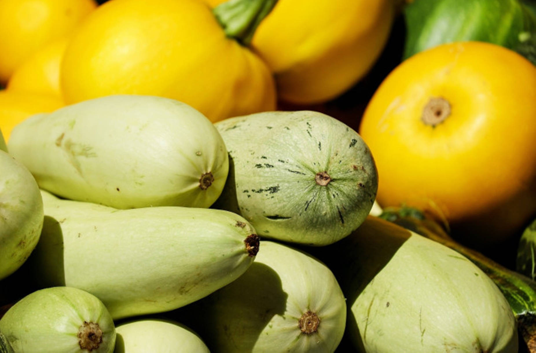 Variety Of Fresh Zucchinis