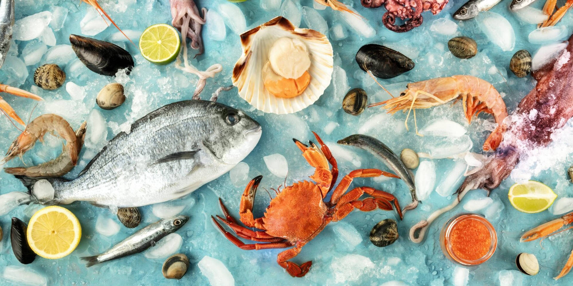 Variety Of Raw Seafoods Background
