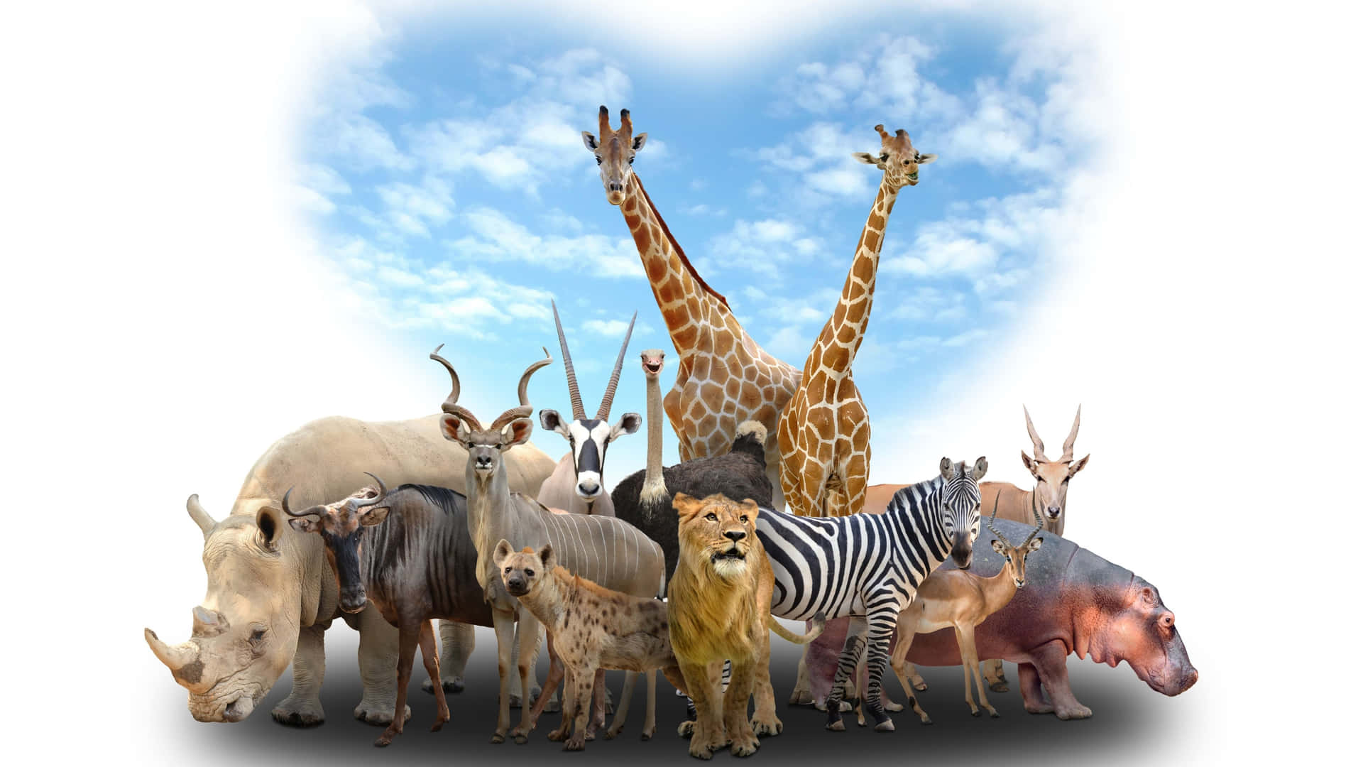 Various African Animals Digital Art 4k Monitor Background