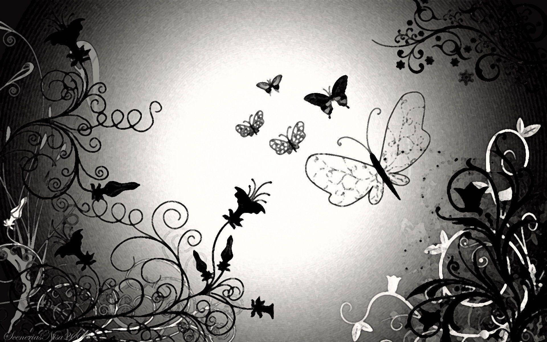 Various Black Butterfly Graphics Background