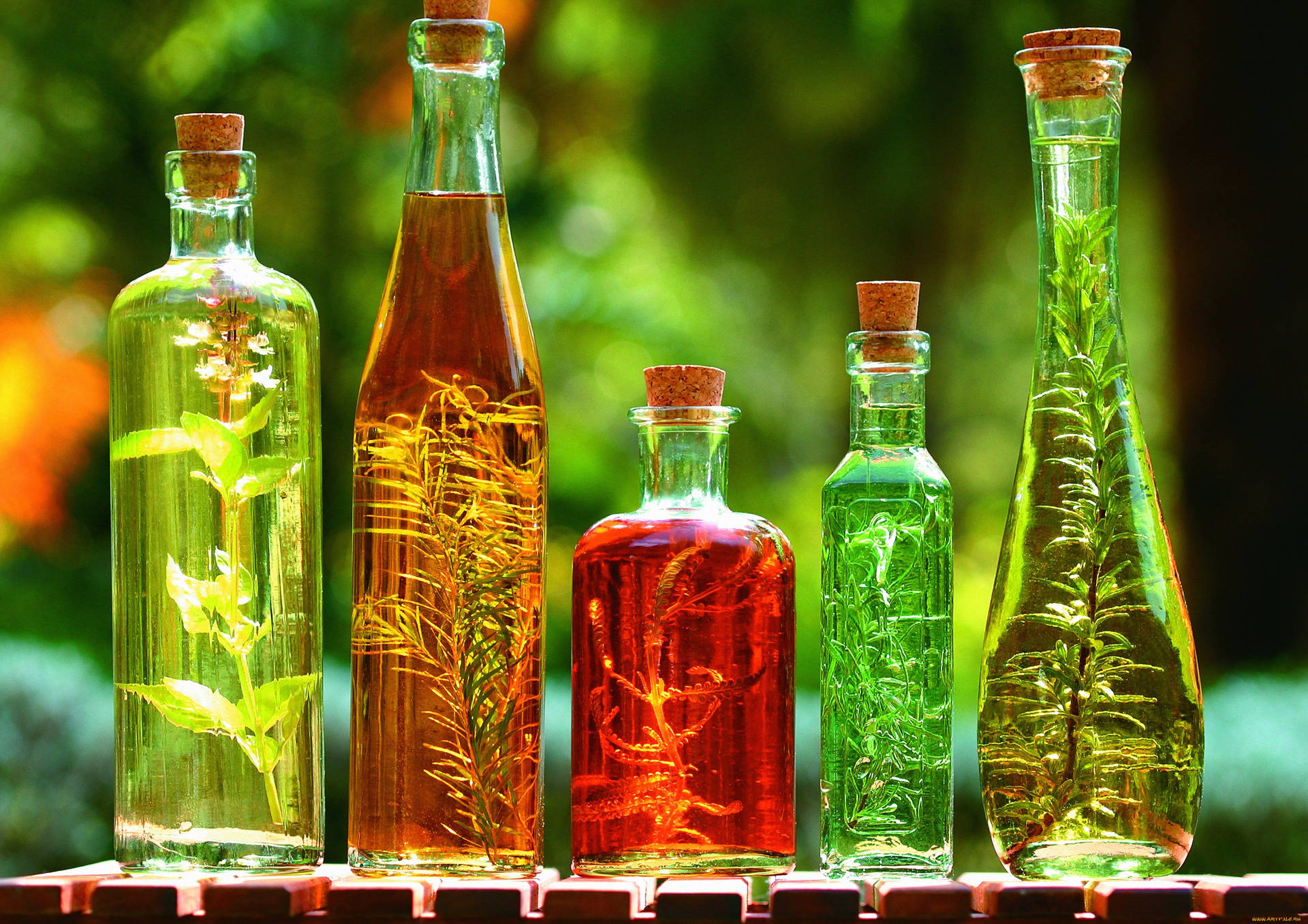 Various Bottled Herbs And Spices Background