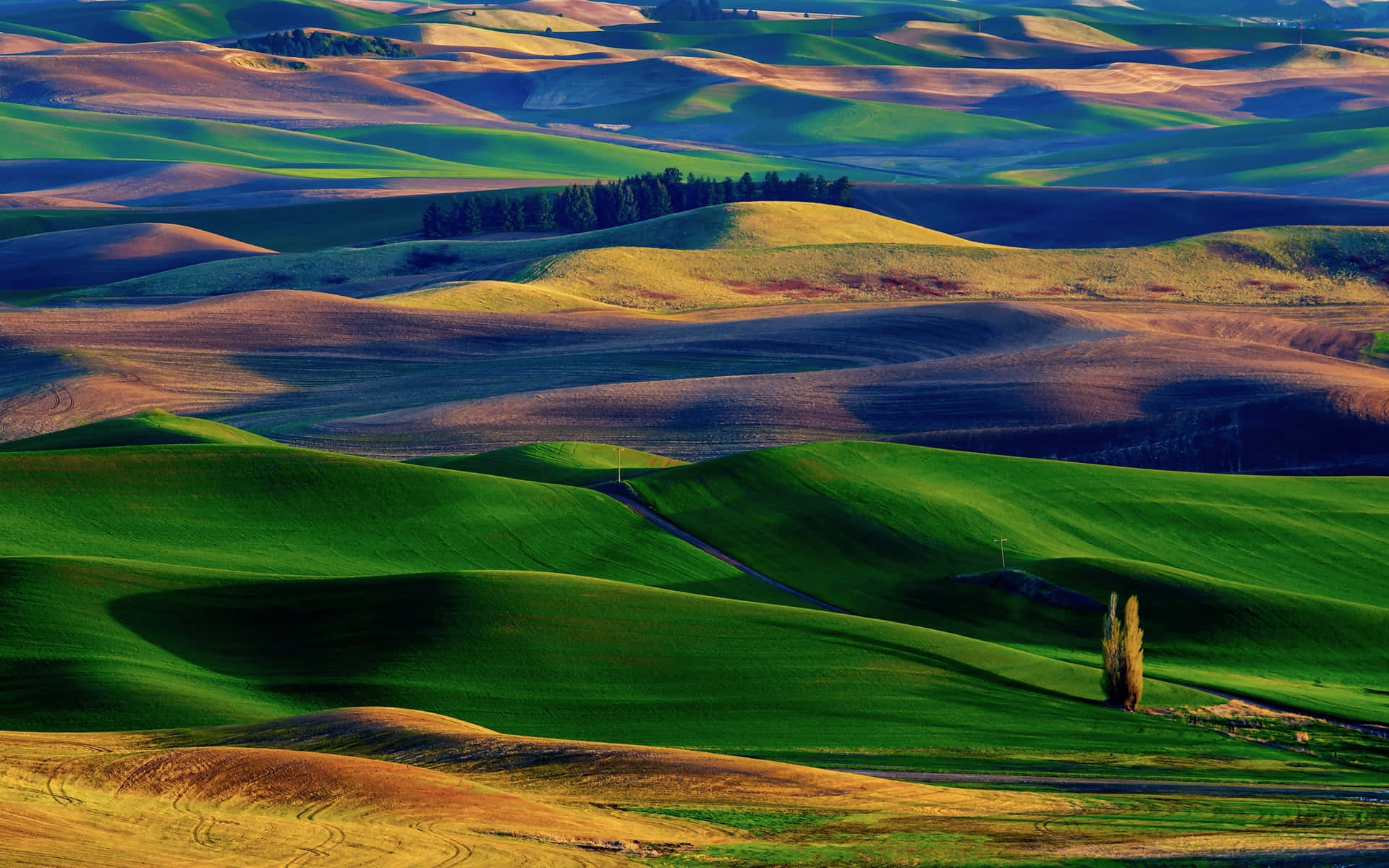 Various Colorful Hills Background