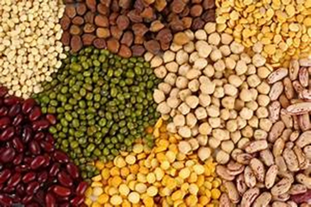 Various Colors Of Lentils Background