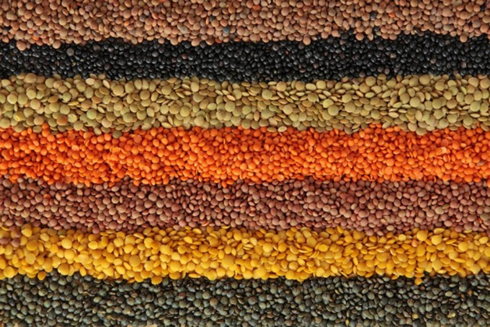 Various Hues Of Lentils Background