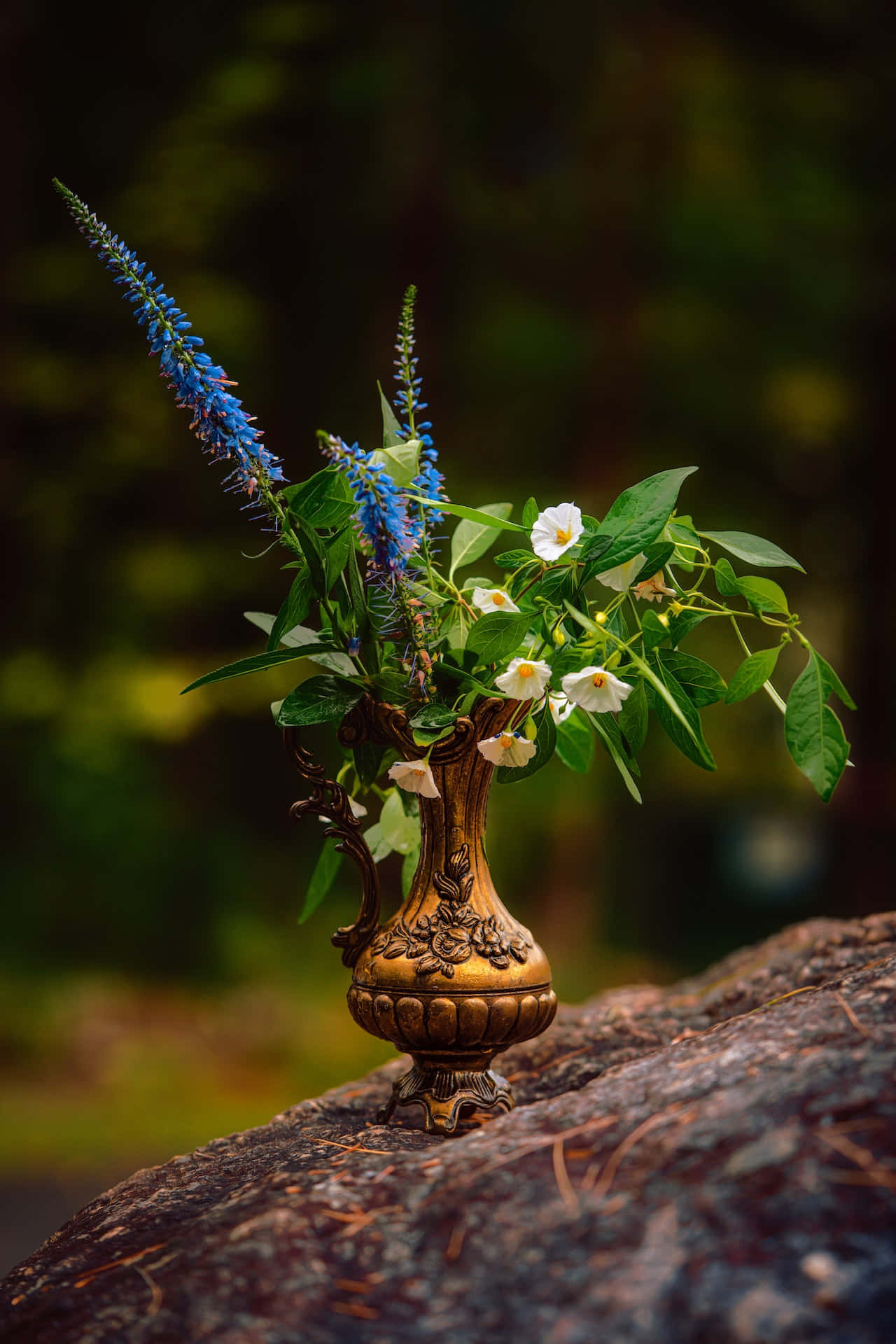 Vase Outdoors Blue Flowers Phone Background