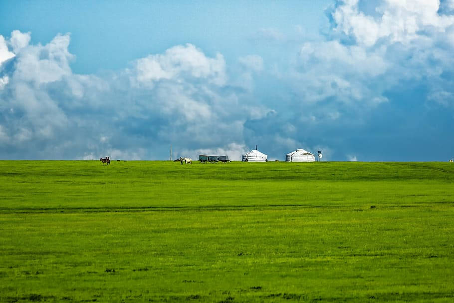 Vast Fields Of Mongolias Background