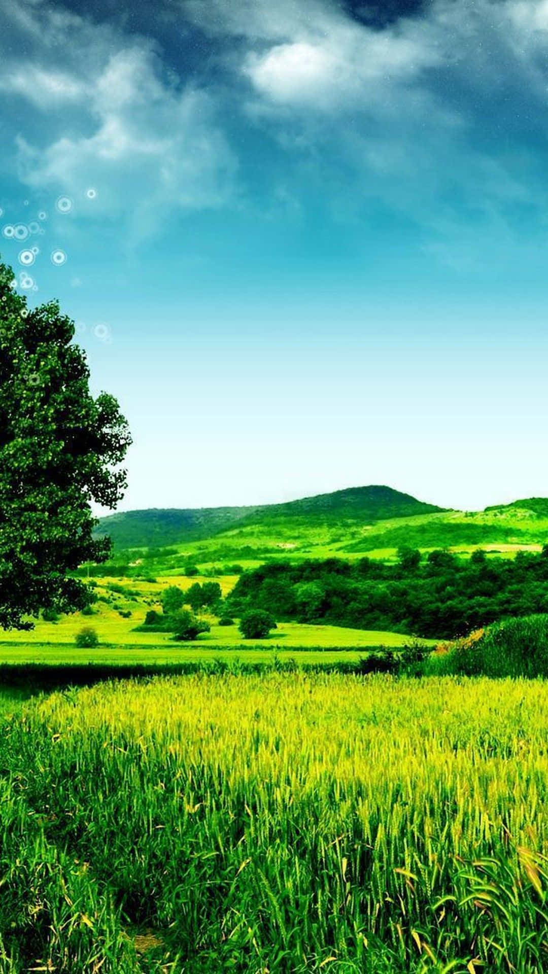 Vast Green Hills Nature Android Hd