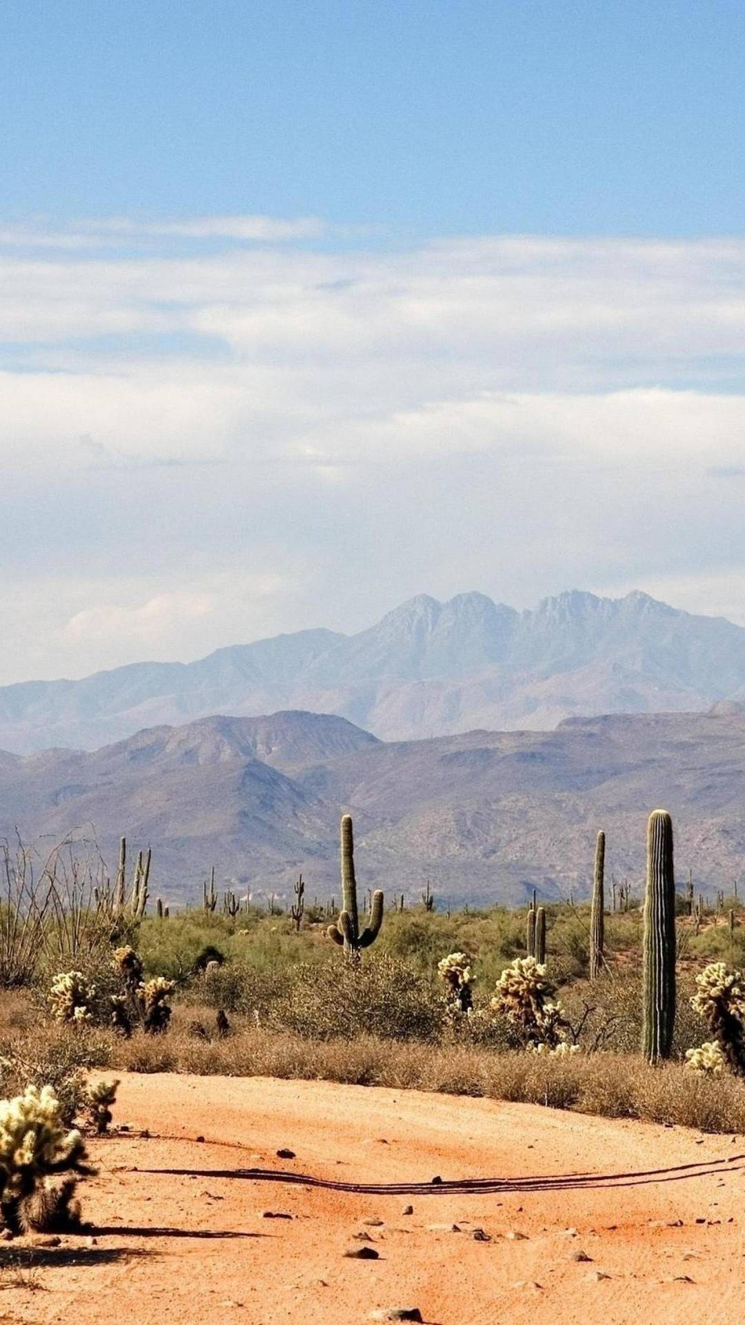 Vast View Of Arizona Desert Background