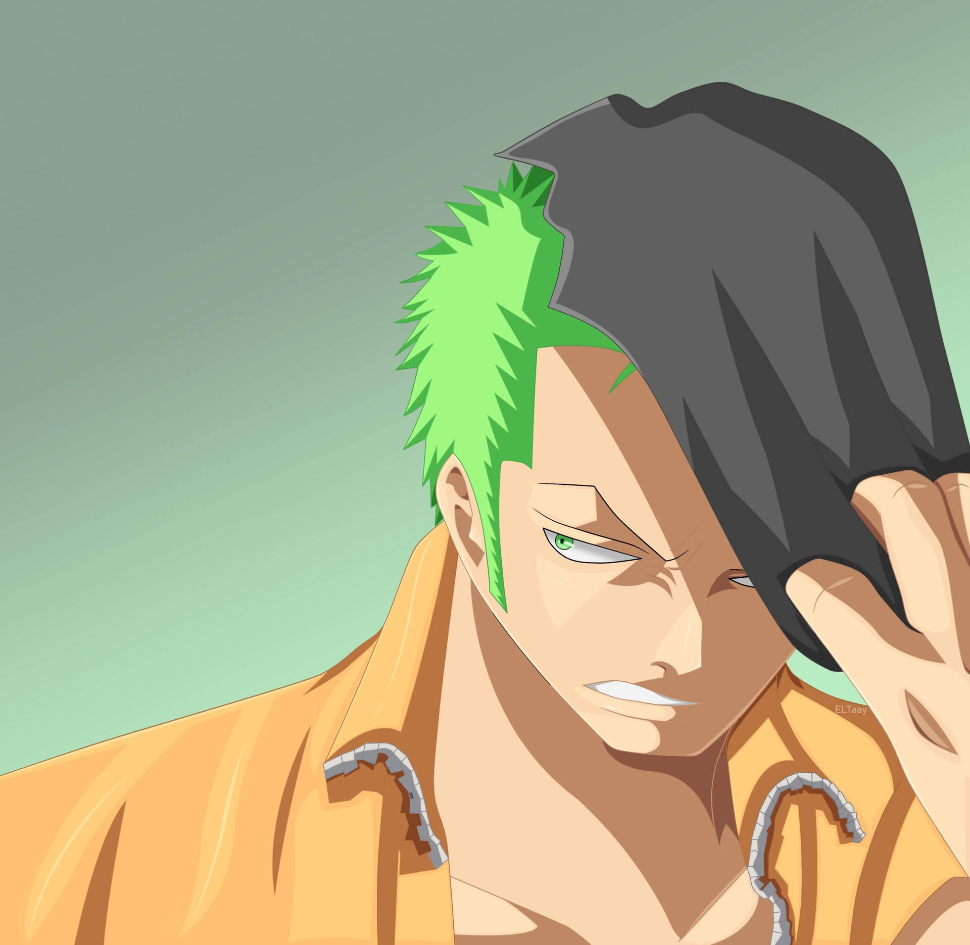 Vector Art Anime Roronoa Zoro Pfp Background