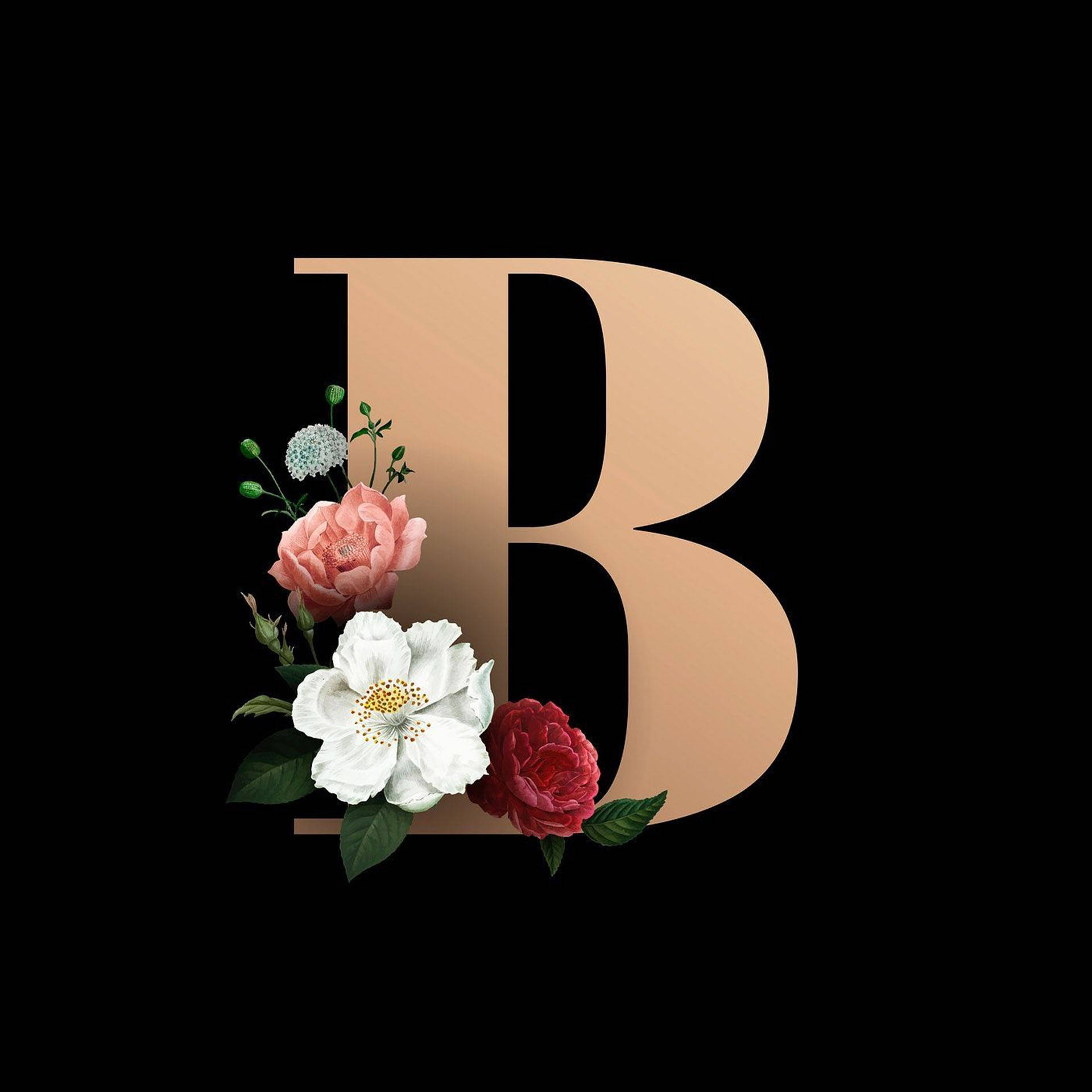 Vector Floral Letter B Background