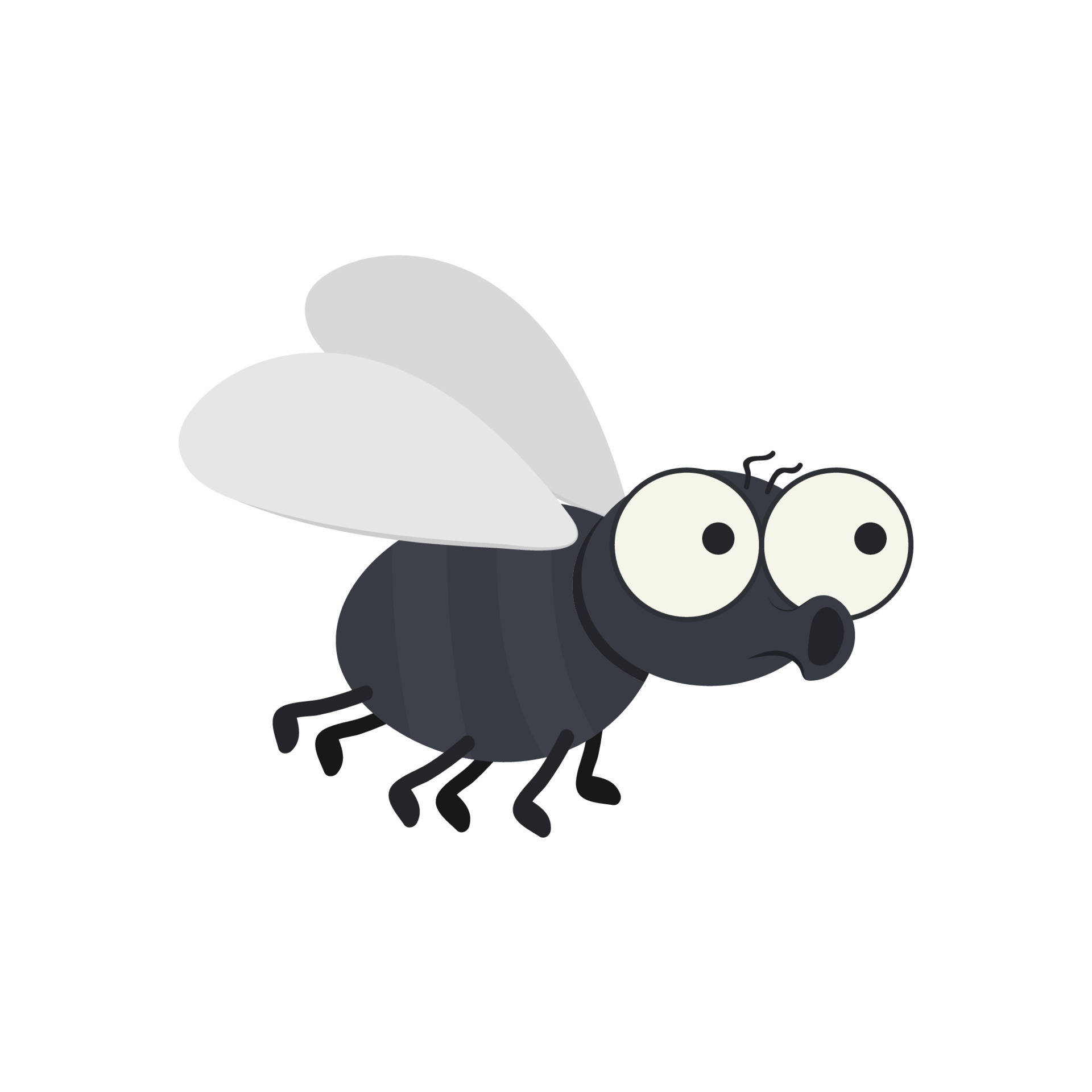 Vector Fly Background