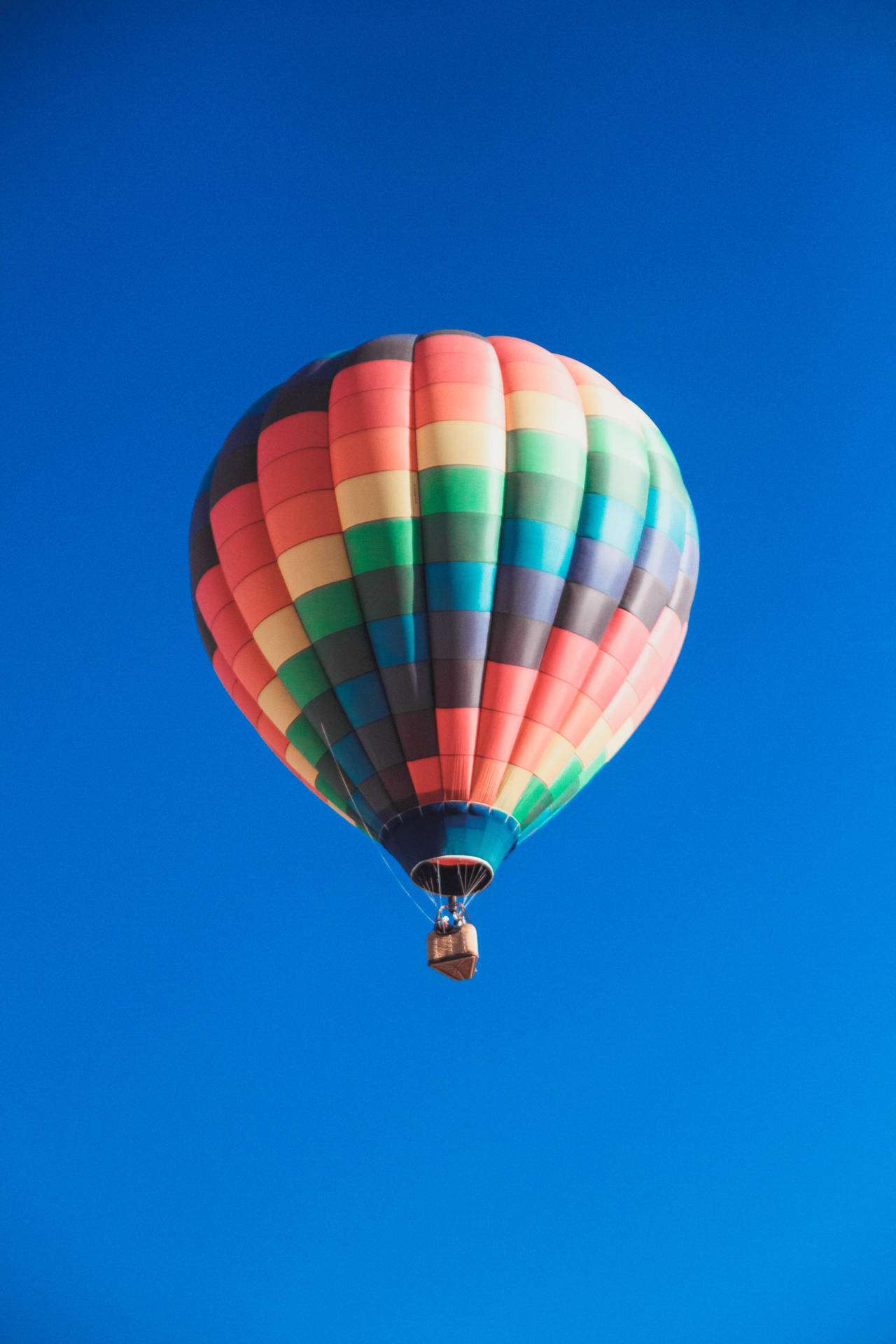 Vector Hot Air Balloon Background