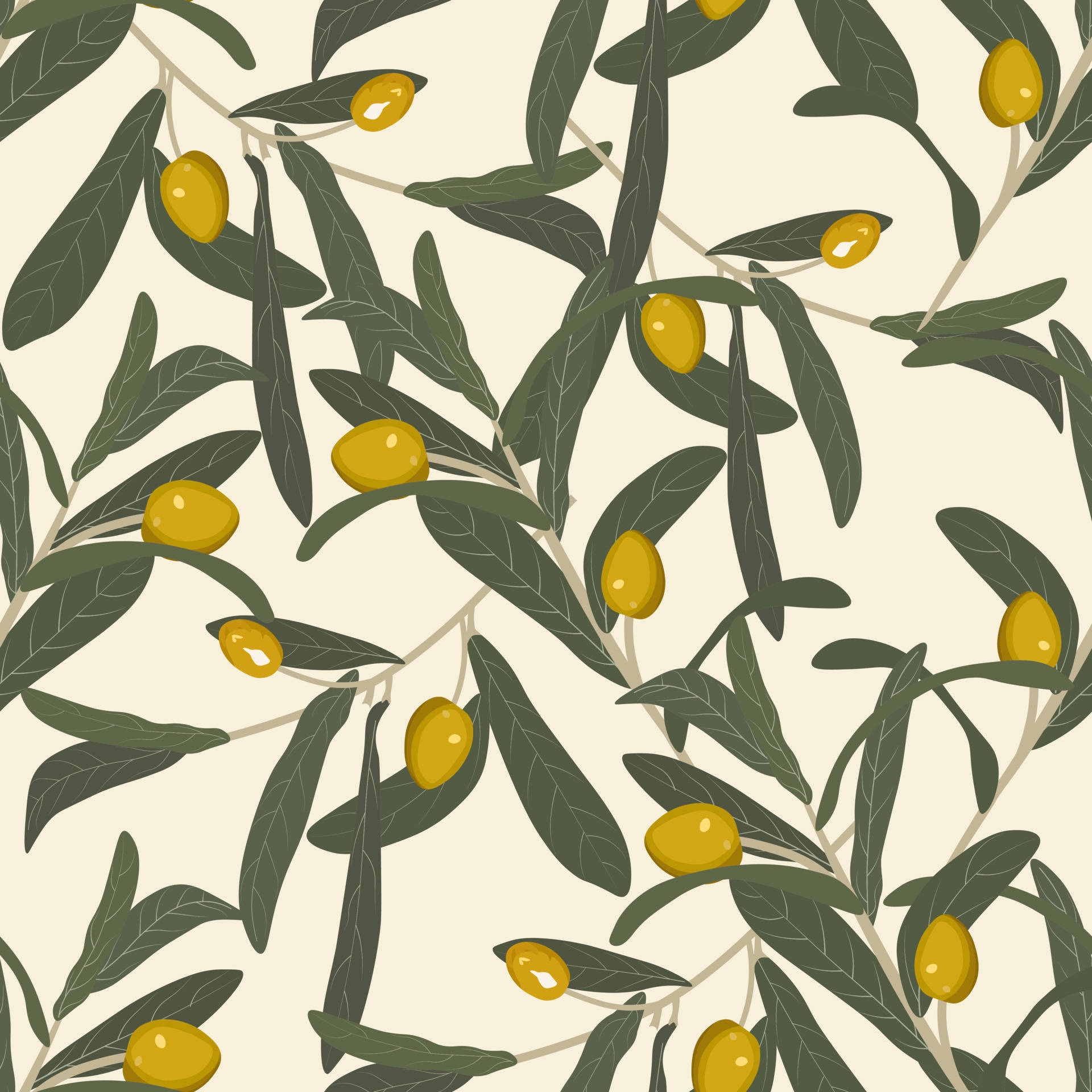 Vector Illustration Olive Branch