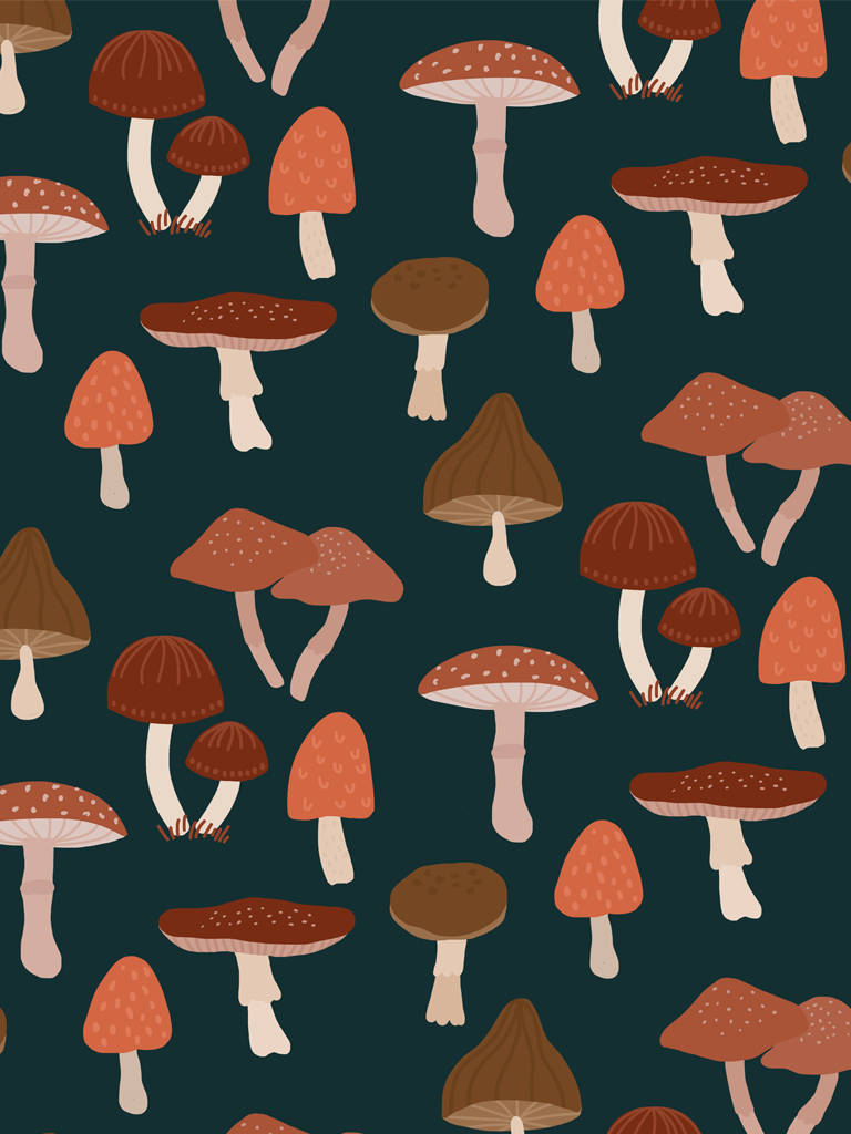 Vector Mushroom Aesthetic Background