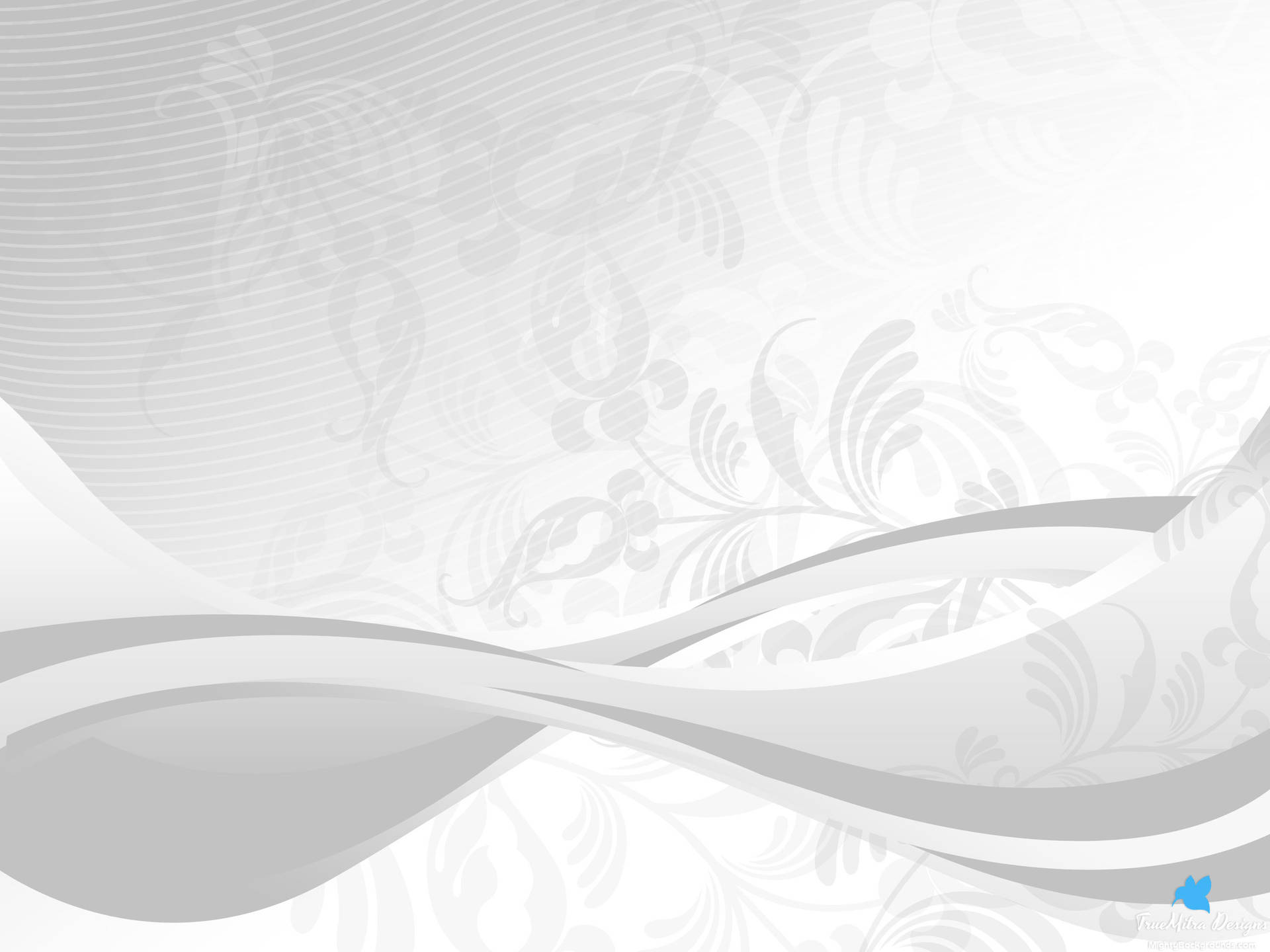 Vector White Abstract Art Background