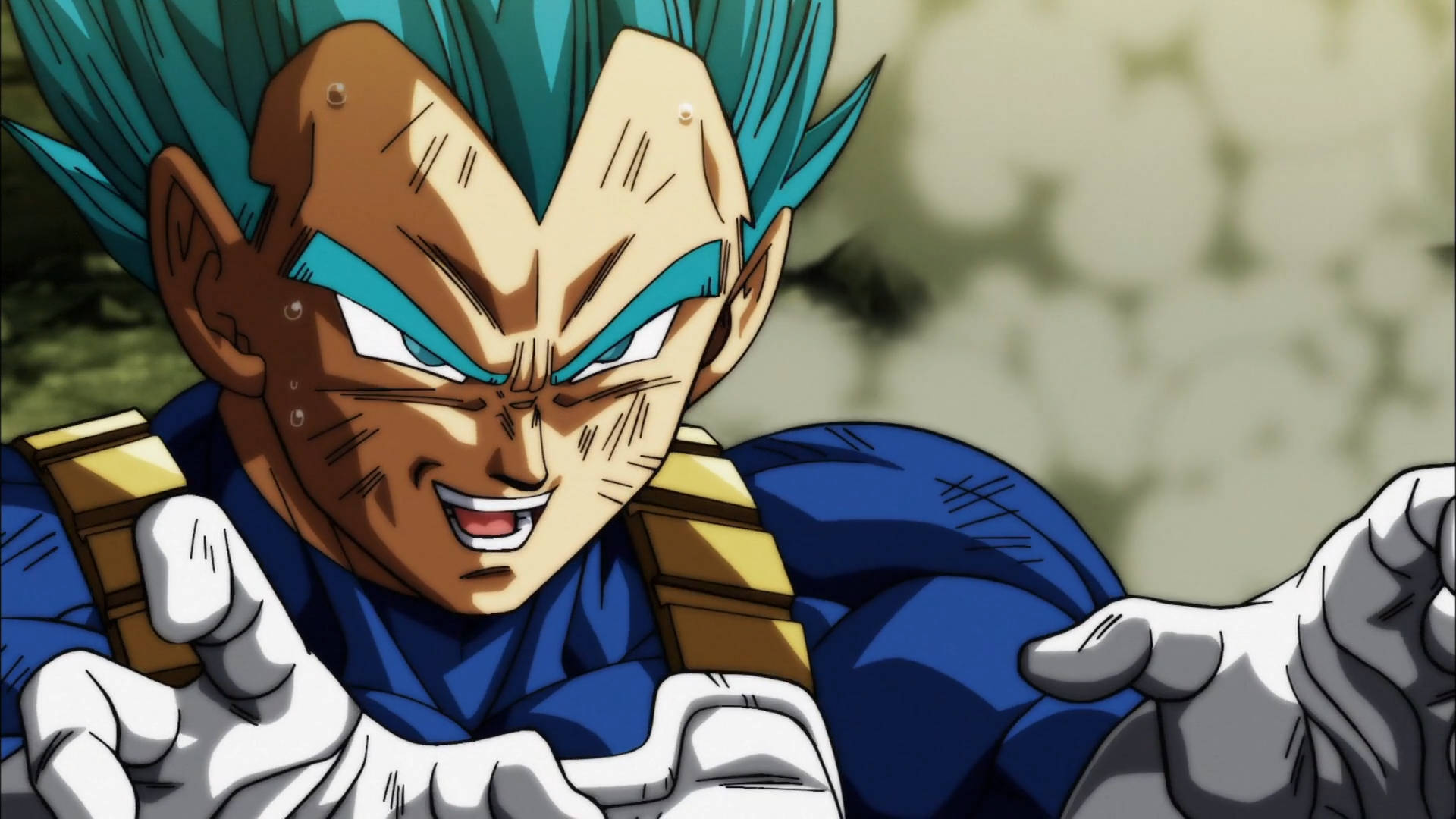 Vegeta Blue Evolved Goku Super Saiyan