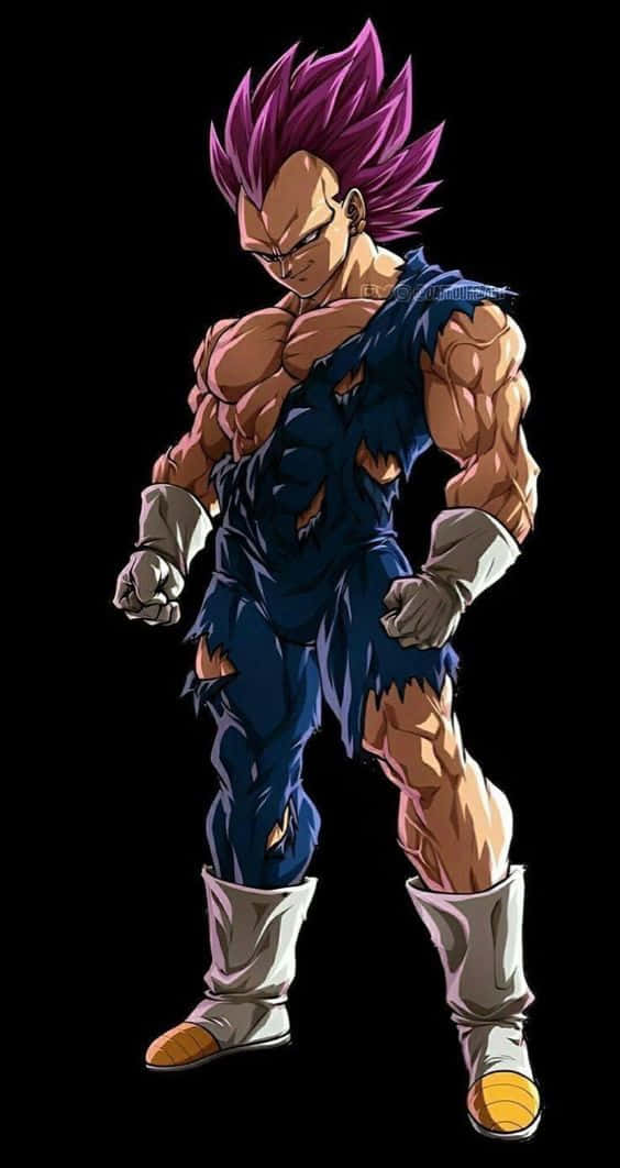 Vegeta Ultra Ego Full Body Background