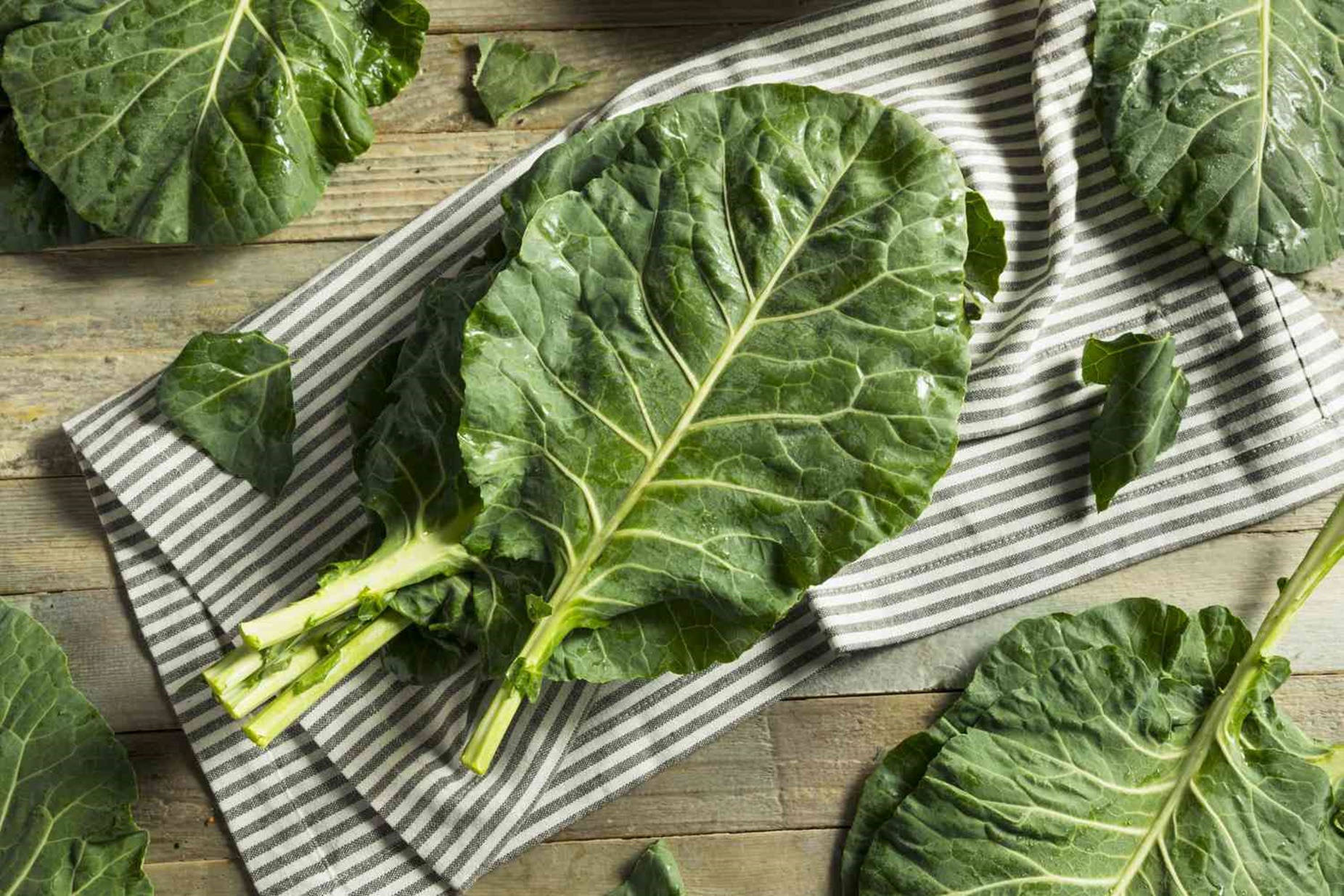 Vegetable Collard Greens Creative Shot