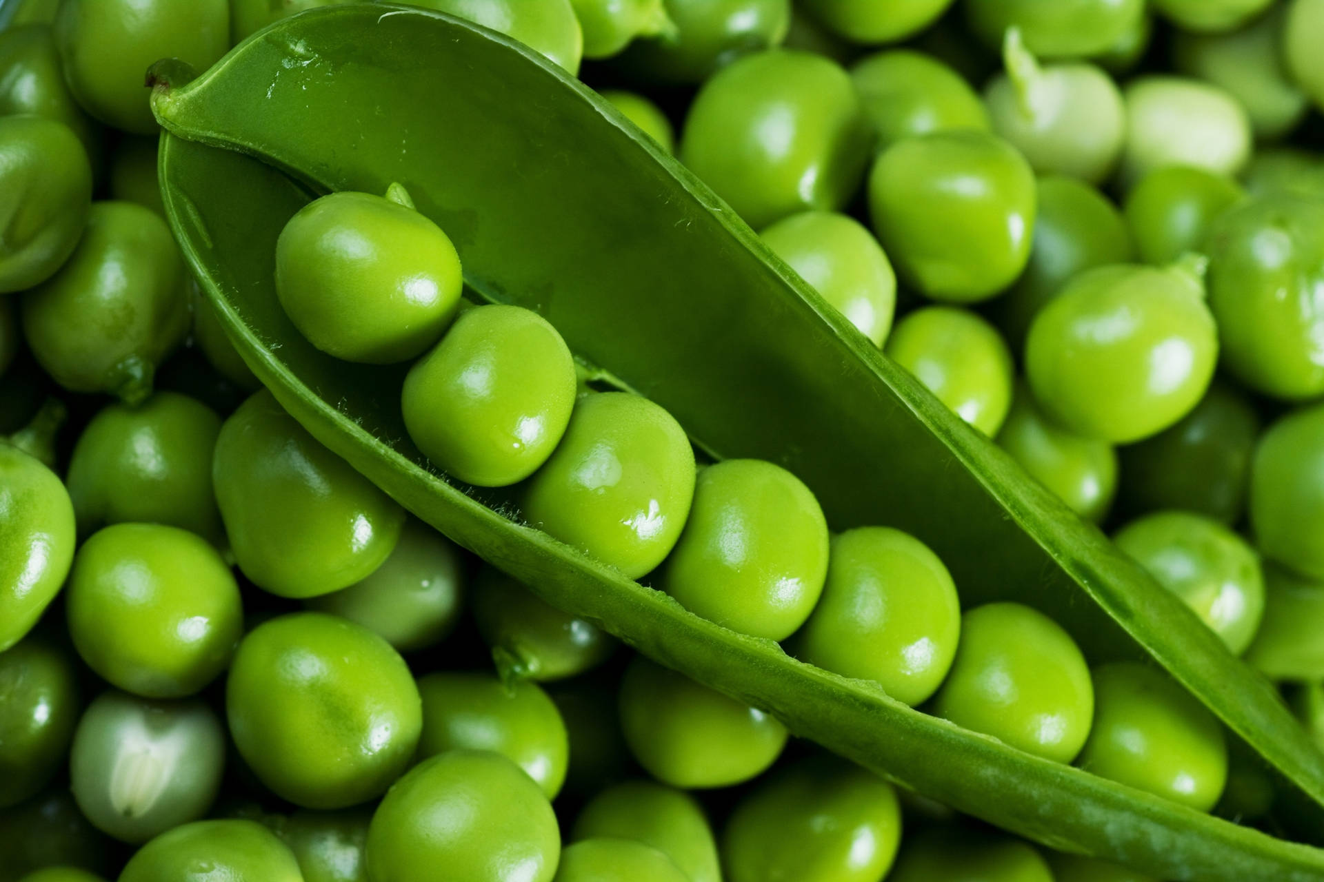 Vegetable Green Peas Inside Pod Background