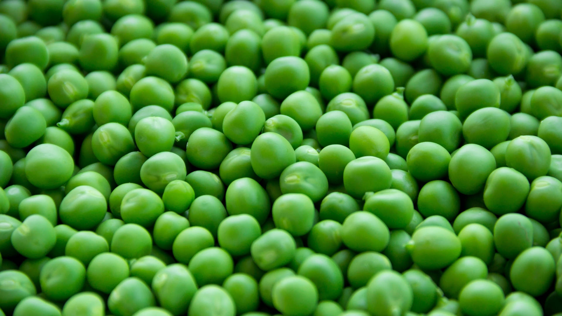 Vegetable Green Peas Pile Top View Background