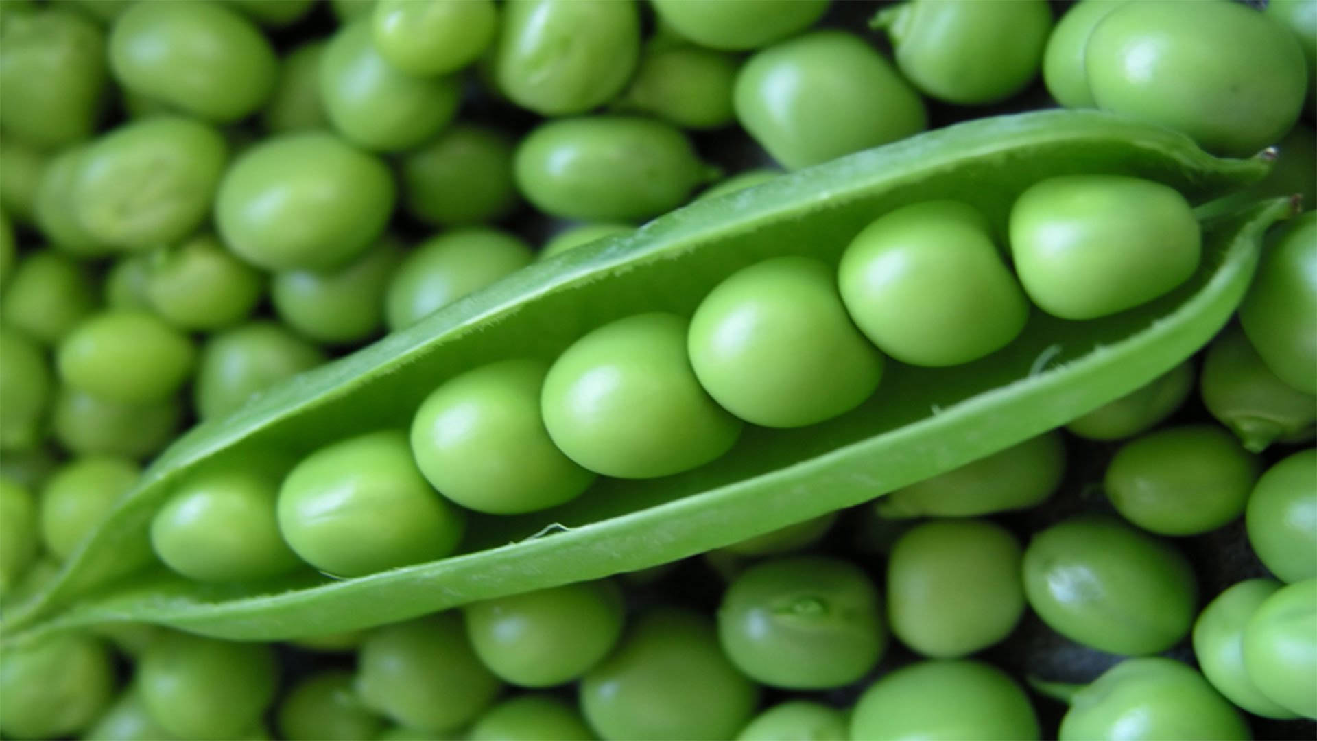 Vegetable Green Peas Pod Top View Shot