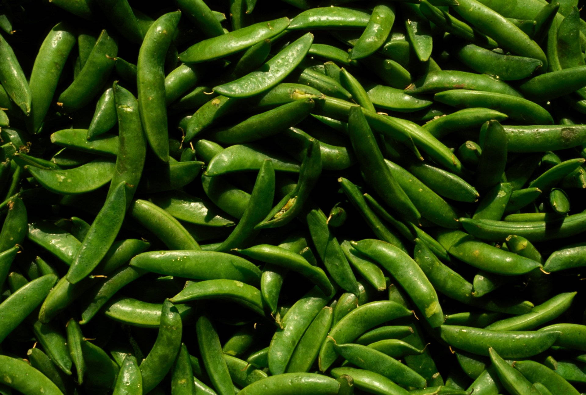 Vegetable Green Peas Pods Pile Top View Background