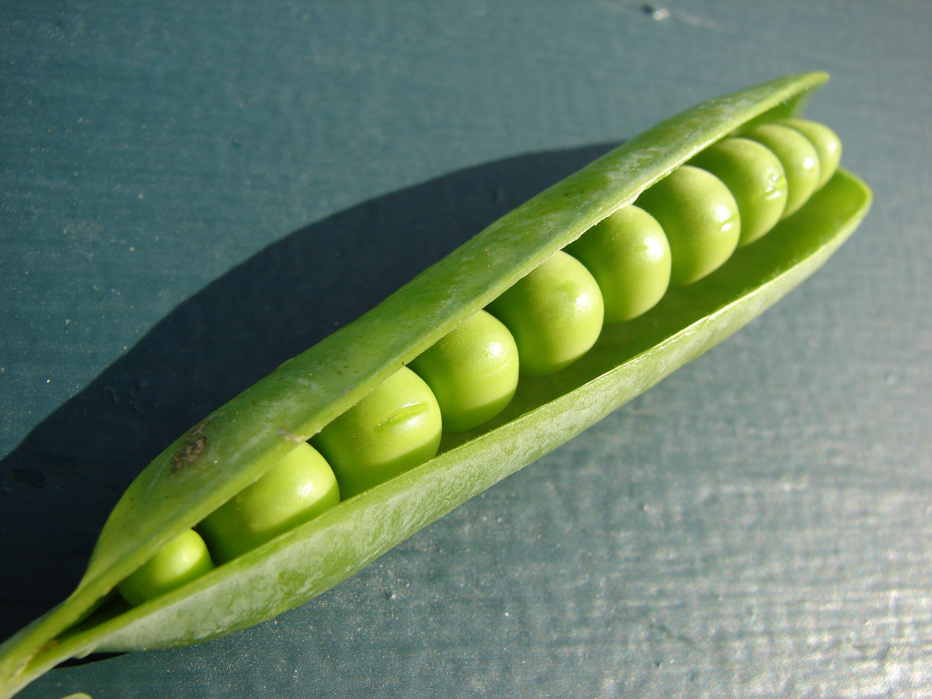 Vegetable Green Peas With Neatly Opened Pod Background