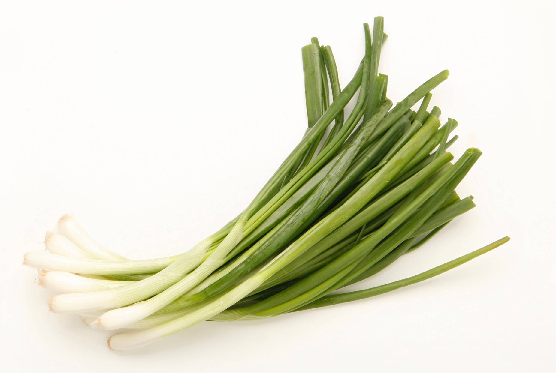 Vegetable Photography Green Onion Bundle Background