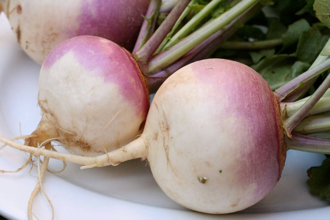 Vegetable Turnips On White Plate Background