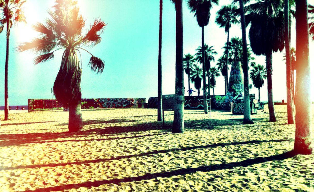 Venice Beach Bright Sunlight Background